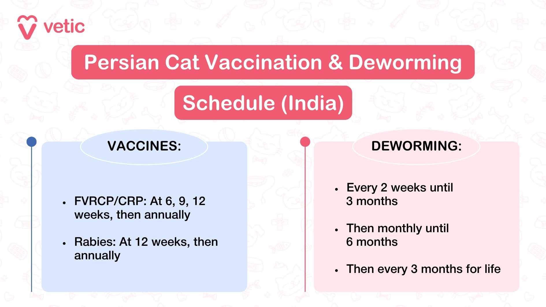 The infographic outlines a vaccination and deworming schedule for Persian cats in India, ensuring they receive the necessary medical care at different life stages. The layout is structured into two main sections: Vaccines and Deworming. In the Vaccines section, the guide specifies the required vaccinations for Persian cats. The FVRCP/CRP vaccine, which protects against multiple feline diseases, is scheduled at 6, 9, and 12 weeks, followed by annual boosters to maintain immunity. Similarly, the Rabies vaccine is administered at 12 weeks, with annual follow-up vaccinations ensuring continued protection against the virus. The Deworming section provides a detailed timeline for parasite prevention. It advises administering deworming treatment every two weeks until three months of age, then transitioning to monthly doses until six months. After six months, the regimen shifts to once every three months for life, ensuring long-term parasite control and overall health maintenance.