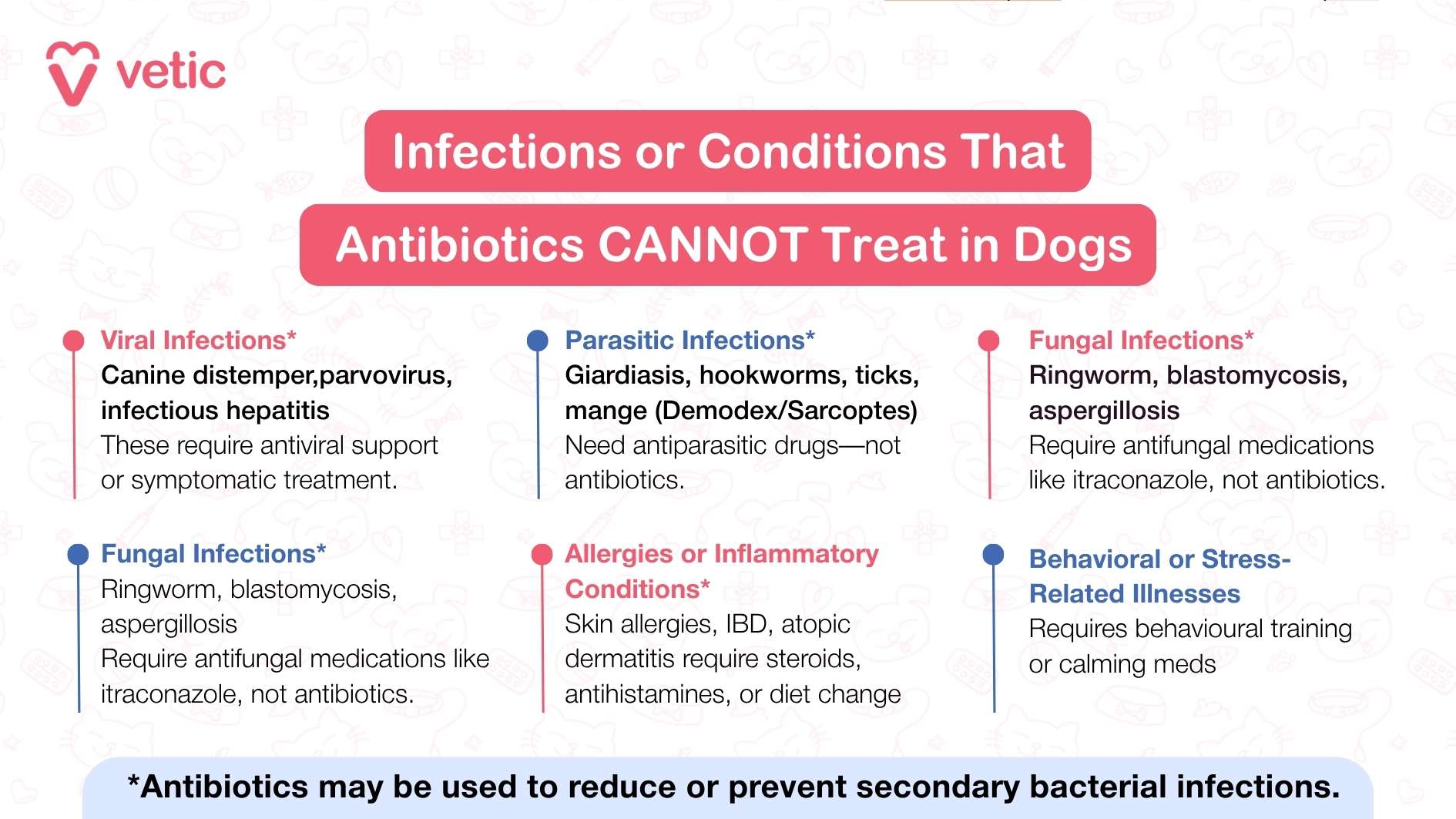 This image from Vetic is an educational guide on administering antibiotics to dogs. It uses a structured layout with a blue informational box, ensuring clarity and ease of understanding. The Vetic logo is placed at the top, reinforcing credibility. The guidelines provided include: Follow exact dose and schedule to ensure proper treatment. Give with food if advised to minimize digestive issues. Use pill pockets or mix with safe treats for easier administration. If your dog vomits or spits out the pill, inform your vet for professional guidance. Never use old or leftover meds to prevent incorrect dosages or harm. The visual elements include a medicine bottle with a cross symbol and a dropper, reinforcing the medical theme. A speech bubble with a paw print adds a friendly and engaging touch, connecting the information to canine health.