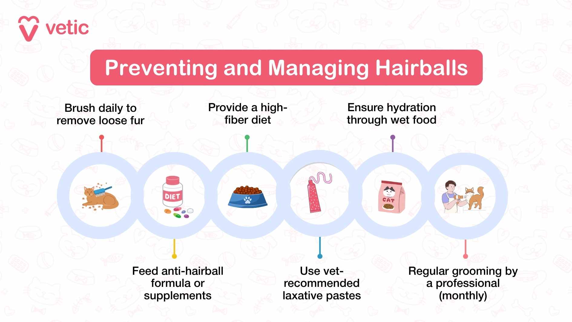 The infographic, titled "Preventing and Managing Hairballs" by Vetic, provides six effective strategies for reducing and managing hairballs in cats. The design is visually structured with engaging illustrations that complement each care tip, making the information easily accessible to pet owners. The first recommendation emphasizes daily brushing, advising cat owners to remove loose fur regularly to prevent excessive hair ingestion. This tip is represented by an illustration of a cat being groomed, reinforcing the importance of proactive care. The second strategy highlights the role of a high-fiber diet in aiding digestion and reducing hair accumulation, depicted by an image of a supplement bottle. The infographic also underscores hydration through wet food, explaining that maintaining moisture intake can facilitate smoother digestion and hairball passage. This section is illustrated with a bowl of food, visually reinforcing dietary importance. Additionally, it suggests feeding anti-hairball formulas or supplements, which are specifically designed to prevent excessive hair buildup in the digestive tract. Another crucial step outlined in the guide is the use of vet-recommended laxative pastes, helping cats naturally eliminate hairballs. This recommendation is supported by an illustration of a paste container, providing a clear visual association. Lastly, the infographic encourages monthly professional grooming, ensuring a more thorough removal of excess fur that could lead to hairball formation. This step is illustrated with an image of a professional cat groomer attending to a feline.