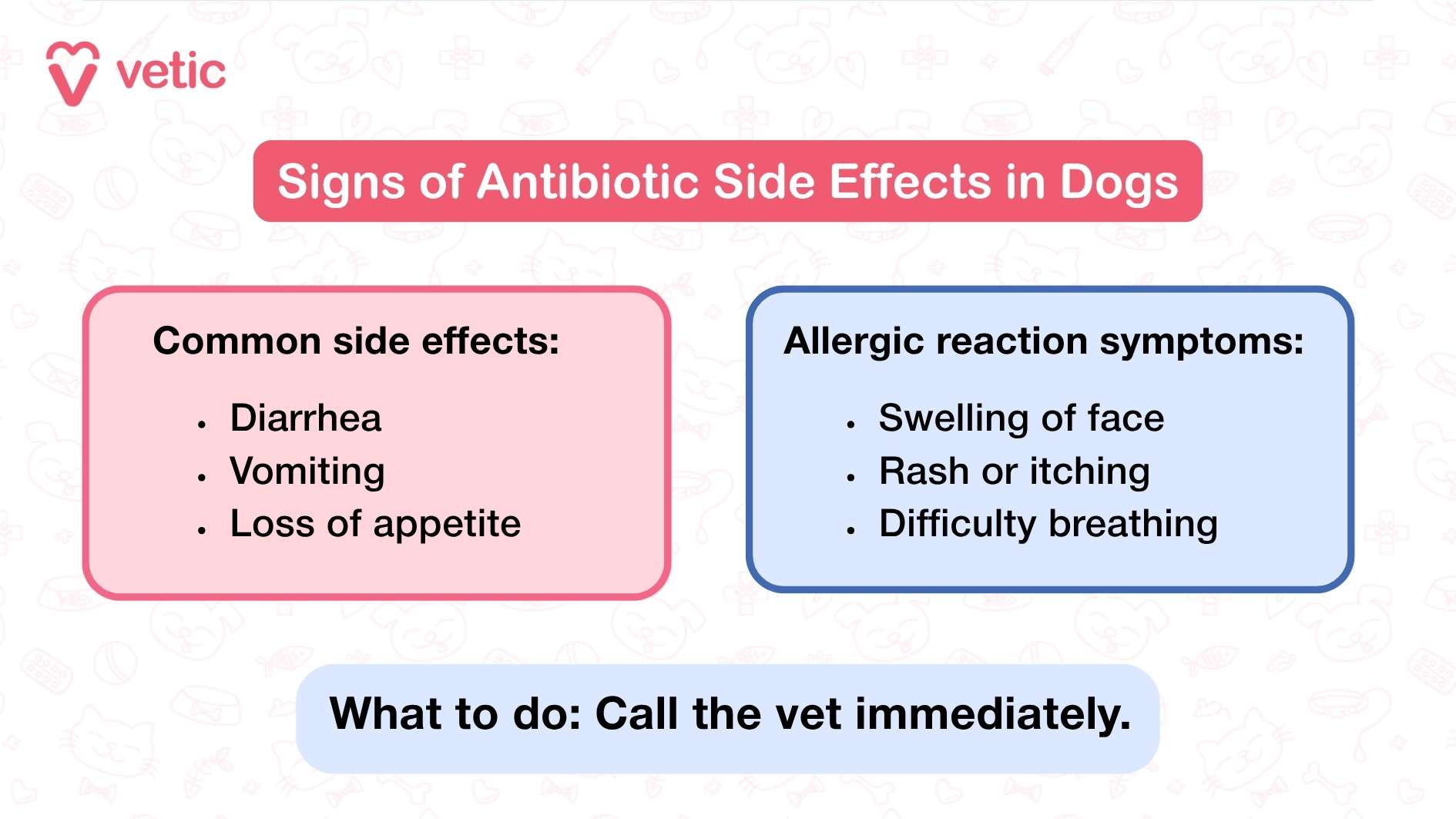 This image from Vetic presents a structured guide on properly administering antibiotics to dogs. The layout is designed with a blue informational box, making the instructions visually clear and easy to follow. The Vetic logo is positioned at the top, reinforcing credibility. The key guidelines provided in the image include: Follow exact dose and schedule to ensure effective treatment. Give with food if advised to prevent digestive discomfort. Use pill pockets or mix with safe treats to simplify administration. If your dog vomits or spits out the pill, inform your vet to receive professional guidance. Never use old or leftover meds to avoid incorrect dosages or harm. Visually, the image includes a medicine bottle with a cross symbol and a dropper containing an orange liquid, emphasizing the medical context. A speech bubble with a paw print adds a playful but relevant touch, reinforcing the connection to canine healthcare.