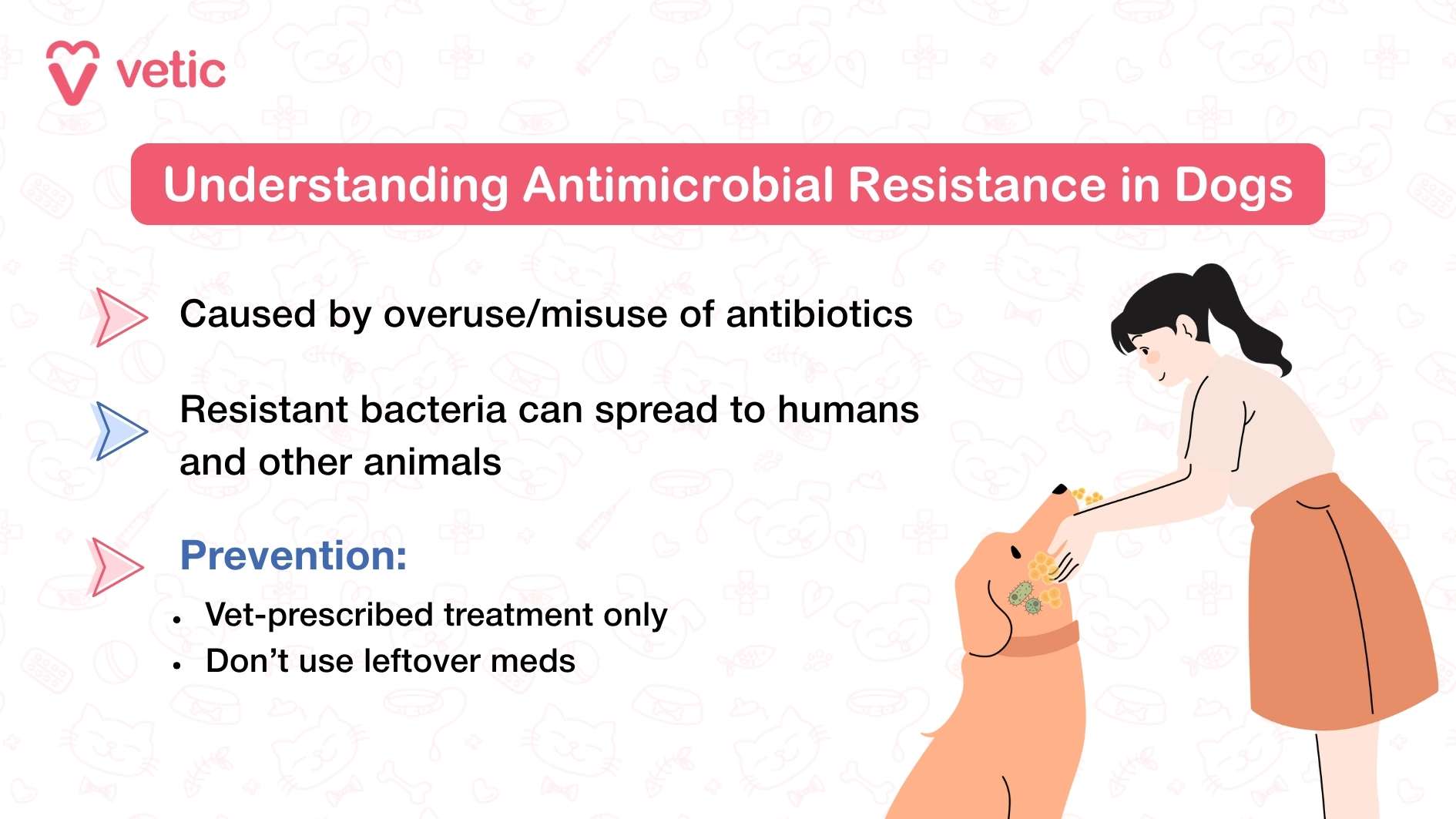 This image from Vetic serves as an educational guide on how to properly administer antibiotics to dogs. The layout is structured with a blue informational box that clearly presents the guidelines in a readable format. The Vetic logo is positioned at the top, reinforcing the credibility of the message. The guidelines listed in the image include: Follow exact dose and schedule to ensure effective treatment. Give with food if advised to minimize digestive discomfort. Use pill pockets or mix with safe treats for easier administration. If your dog vomits or spits out the pill, inform your vet for professional guidance. Never use old or leftover meds to prevent incorrect dosages or potential harm. A medicine bottle with a dropper is illustrated beside the guidelines, reinforcing the medical aspect. Additionally, a speech bubble with a paw print adds an engaging visual touch that connects the information to canine health.