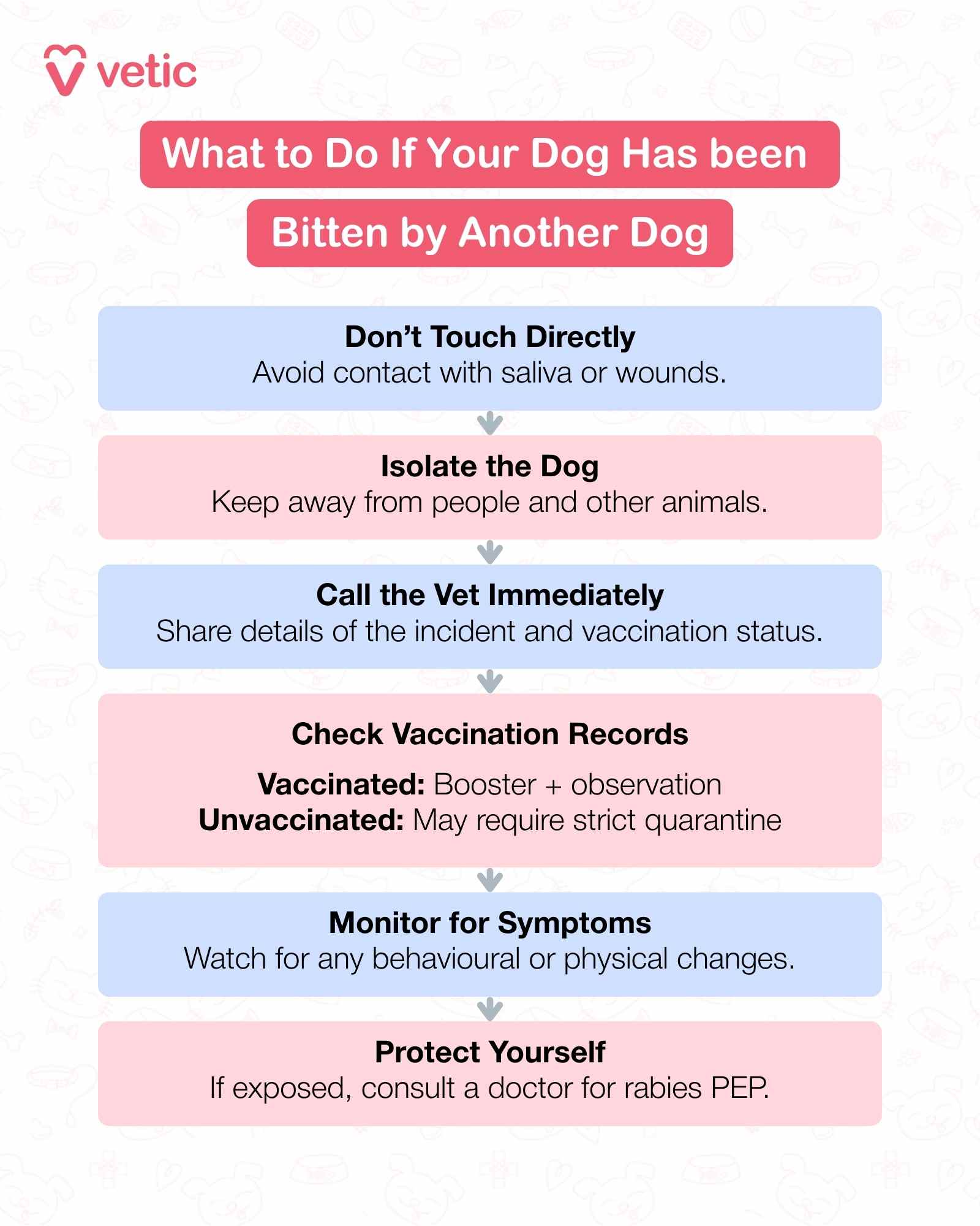 If your dog has been bitten by another dog, quick and calm action is essential to prevent complications. First, safely separate your dog from the other animal and move to a quiet space. Avoid touching the wound immediately, as your dog may be in pain and react unpredictably. Once safe, check for visible injuries. Even small puncture wounds can lead to serious infections, so don’t rely on appearances alone. Clean the area gently with saline or clean water if you can, but avoid using antiseptics like Dettol or Savlon, which can irritate tissue. Then, take your dog to a veterinarian as soon as possible—ideally within six hours. The vet will assess the wound, clean it thoroughly, and may prescribe antibiotics, pain relief, or even a rabies booster if the other dog’s vaccination status is unknown. Also, try to get the contact details of the other dog’s owner and ask about their pet’s vaccination history. Keep an eye on your dog for signs of infection such as swelling, pus, or fever in the days following the bite.
