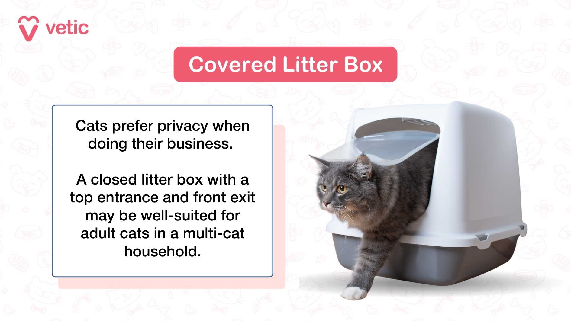 Covered litter box - image of a cat existing a top entry front exit litter box - Cats prefer privacy when doing their business. A closed litter box with a top entrance and front exit may be well-suited for adult cats in a multi-cat household.