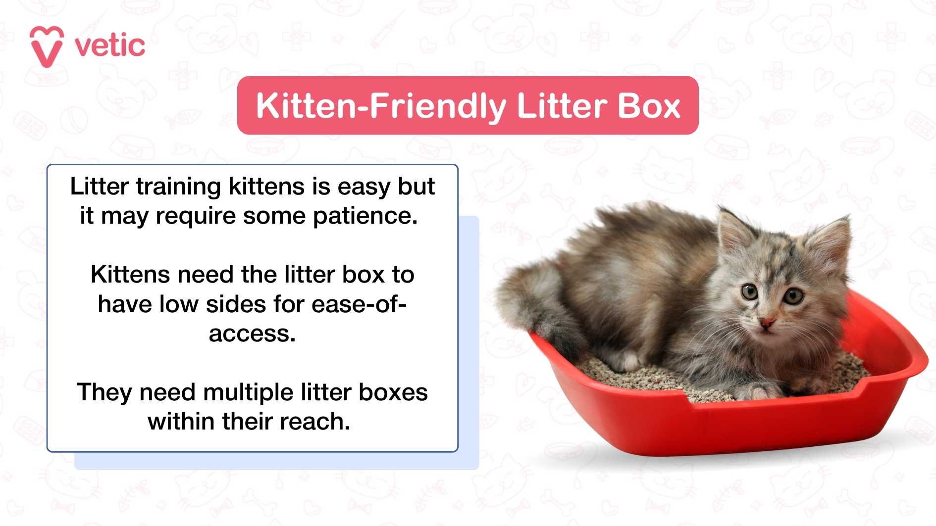 what is a kitten friendly litter box? Litter training kittens is easy but it may require some patience. Kittens need the litter box to have low sides for ease-of-access. They need multiple litter boxes within their reach.
