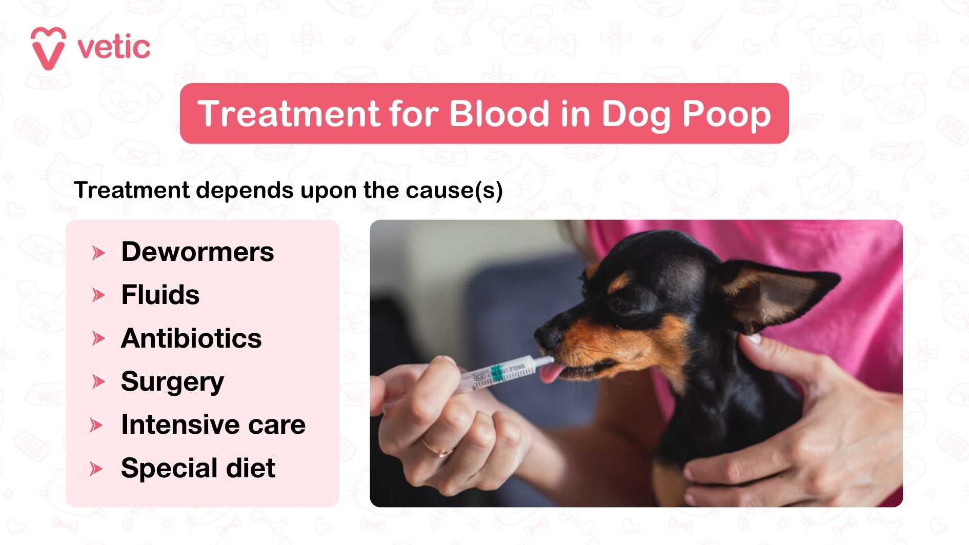 This image titled “Treatment for Blood in Dog Poop,” offers a focused snapshot of care options, with Vetic branding clearly displayed in the top corner for veterinary authority. A prominent pink banner frames the title, followed by a caption that clarifies treatment is cause-specific. On the left, six clinical treatments—ranging from dewormers to intensive care and special diets—are listed in simple text, maintaining accessibility. To the right, a small dog is shown receiving medication through a syringe, visually reinforcing hands-on care.