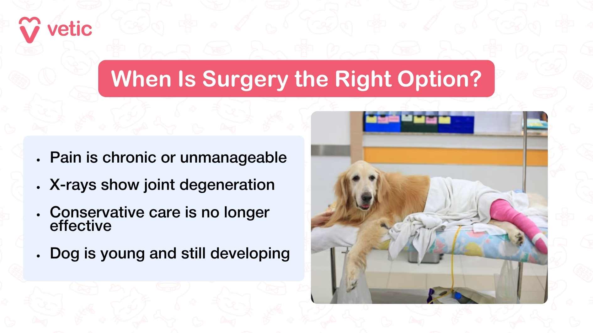 The infographic titled “Helping Your Dog Recover from Hip Dysplasia Surgery” features five easy-to-follow tips for post-surgery care. It encourages pet parents to create a safe, calm space for healing. Wound care and medications should be followed diligently. Committing to physiotherapy is highlighted as a key recovery step. Tracking progress and mobility helps monitor the dog’s improvement. Lastly, maintaining a healthy weight and balanced diet supports long-term well-being. The layout is simple and reassuring, making recovery feel doable and supported.