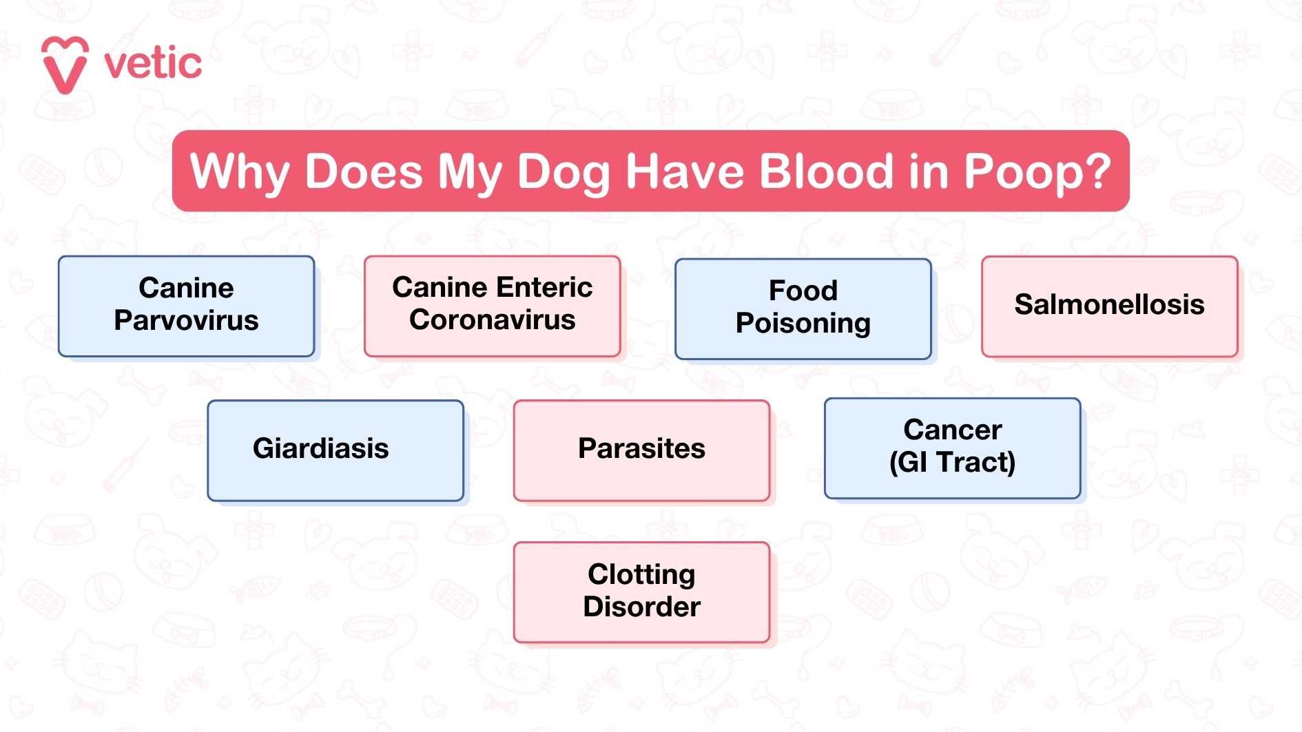 The image titled “Why Does My Dog Have Blood in Poop?” is designed with a clean, infographic layout that lists eight possible causes in a bold, readable font. Each condition—such as Canine Parvovirus, Giardiasis, and Clotting Disorder—is succinctly presented without additional visuals, keeping the viewer’s focus directly on the causes. The title stands out prominently, anchoring the image and signaling urgency.