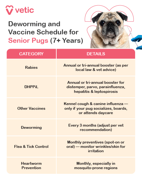 titled “Deworming & Vaccine Schedule for Senior Pugs (7+ Years)”, offers a comprehensive guide to maintaining health in aging pugs. It’s organized into two columns—Category and Details—with a warm visual theme and a photo of a senior pug in the top right corner, reinforcing the message of attentive elder care. Key Health Recommendations: Rabies Annual or tri-annual booster Note: Follow local laws and vet guidance for timing. DHPPiL Annual or tri-annual booster Protection: Covers distemper, parvo, parainfluenza, hepatitis, and leptospirosis. Other Vaccines Kennel cough & canine influenza Recommended only if pug interacts with other dogs or attends daycare/boarding. Deworming Every 3 months Adjust frequency based on vet advice. Flea & Tick Control Monthly spot-on or oral preventives Monitor skin and wrinkles for irritation. Heartworm Prevention Monthly, especially in mosquito-prone areas Critical for cardiovascular health in older dogs.