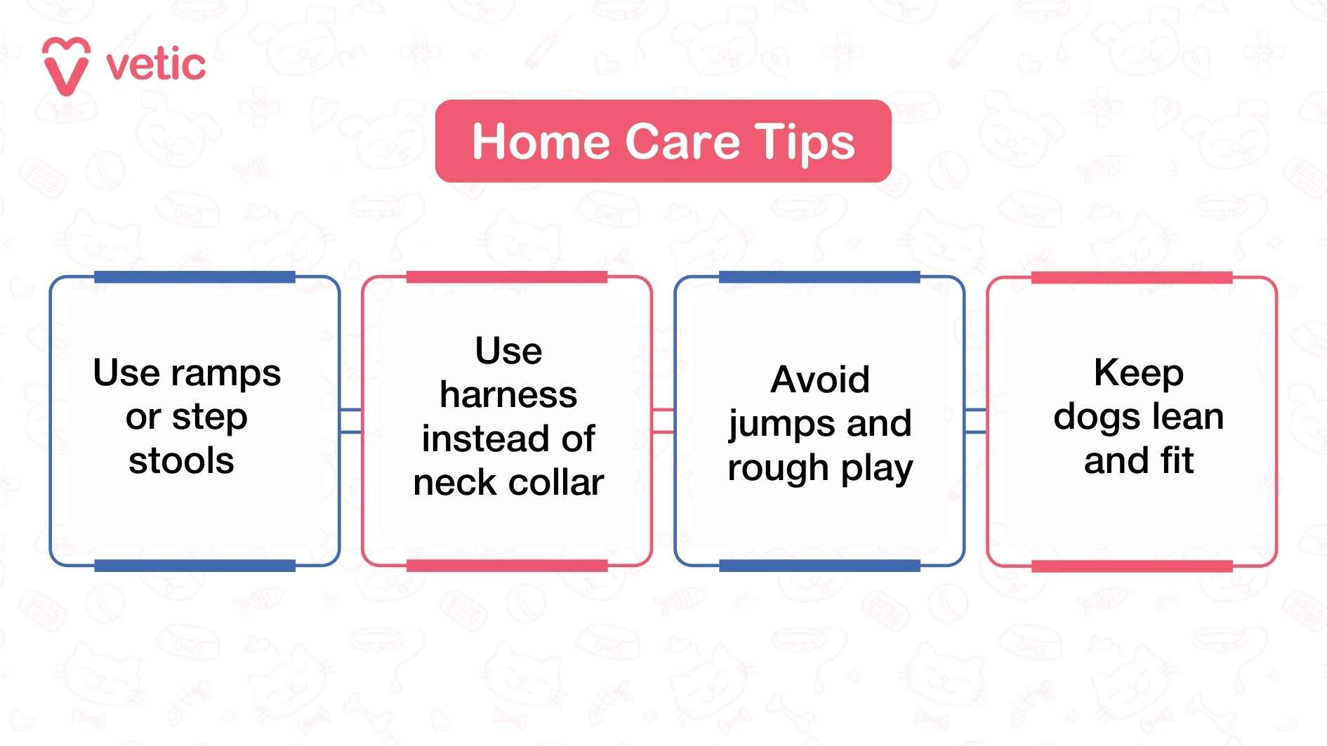 This infographic presents a clear and informative overview of Intervertebral Disc Disease (IVDD) in dogs. It features a central illustration of a dog’s spine, highlighting affected disc areas with color-coded markers. Key symptoms such as pain, limping, and mobility issues are listed alongside visual icons for quick recognition. The layout is clean and structured, using bold headings and concise bullet points to guide the viewer through causes, risk factors, and treatment options. The design balances clinical clarity with pet-owner accessibility, making it a valuable educational tool for understanding IVDD.