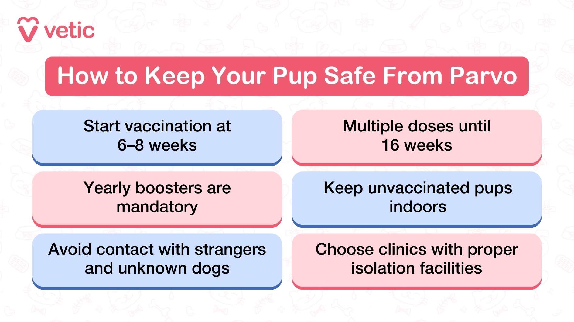 This Vetic infographic offers a proactive guide for protecting puppies from Parvovirus, using a bright pink header to draw attention to its preventive focus. The layout features six rectangular boxes, each containing a specific action point that pet parents can take to reduce risk. It begins with the recommendation to start vaccinations between six and eight weeks of age, followed by multiple doses until the puppy reaches sixteen weeks—highlighting the importance of a complete immunization schedule. Yearly boosters are described as mandatory, reinforcing that protection isn’t a one-time event but an ongoing commitment. The next three tips shift toward behavioral and environmental precautions. Keeping unvaccinated puppies indoors helps limit exposure, while avoiding contact with strangers and unfamiliar dogs reduces the chance of viral transmission. The final tip advises choosing veterinary clinics with proper isolation facilities, ensuring that even routine visits don’t become a source of infection. The infographic balances medical guidance with practical advice, empowering pet parents to take both clinical and everyday steps to safeguard their pups.