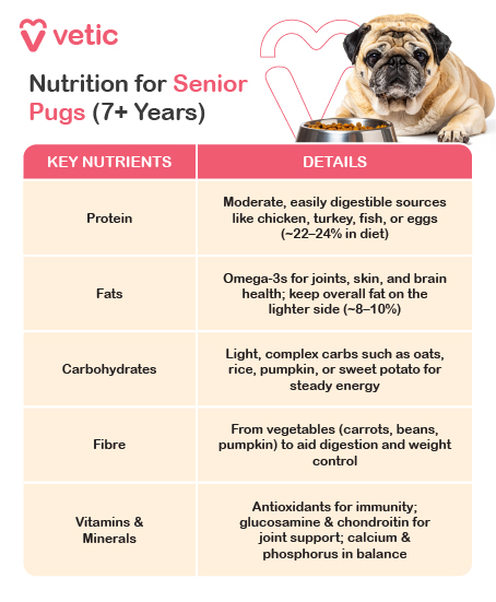 This informative chart from Vetic, titled “Nutritional Needs of Senior Pugs (7+ Years),” features a calm-looking senior pug sitting beside a bowl of food—visually reinforcing the theme of age-appropriate nutrition. The layout is structured as a two-column table: Key Nutrients | Details Protein Moderate levels from easily digestible sources like chicken, turkey, fish, or eggs. Recommended dietary inclusion: ~22–24%. Supports muscle maintenance without straining aging kidneys. Fats Focus on Omega-3 fatty acids for joint, skin, and brain health. Overall fat kept light (~8–10%) to avoid weight gain. Carbohydrates Light, complex carbs such as oats, rice, pumpkin, or sweet potato. Provide steady energy without digestive overload. Fibre Sourced from vegetables like carrots and peas. Aids digestion and helps with weight control. Vitamins & Minerals Includes antioxidants for immune support. Glucosamine & chondroitin for joint health. Balanced calcium and phosphorus for bone integrity. The chart is designed to help pet parents adjust their senior pug’s diet to support aging-related needs—focusing on joint care, digestion, and maintaining lean muscle mass.