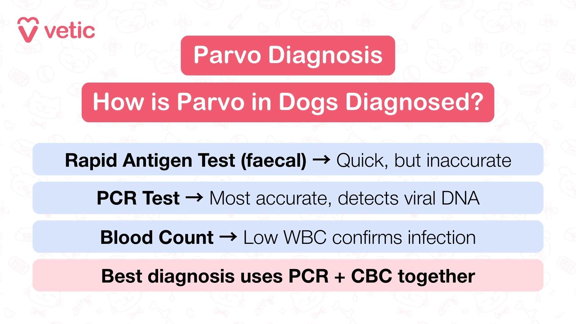 This Vetic infographic explains how Parvovirus is diagnosed in dogs, using a clean layout and straightforward language to guide pet parents through the process. The title “Parvo Diagnosis” is followed by the question “How is Parvo in Dogs Diagnosed?”, setting up a clear educational intent. Four diagnostic methods are listed, each with a brief explanation. The Rapid Antigen Test, which uses fecal samples, is noted for its speed but flagged as unreliable. The PCR Test stands out as the most accurate, capable of detecting viral DNA with precision. A blood count is also used, where a low white blood cell (WBC) count confirms infection. The infographic concludes with a strong recommendation: combining PCR and complete blood count (CBC) yields the best diagnostic outcome. This layered approach reflects the seriousness of Parvo and the need for thorough veterinary evaluation.