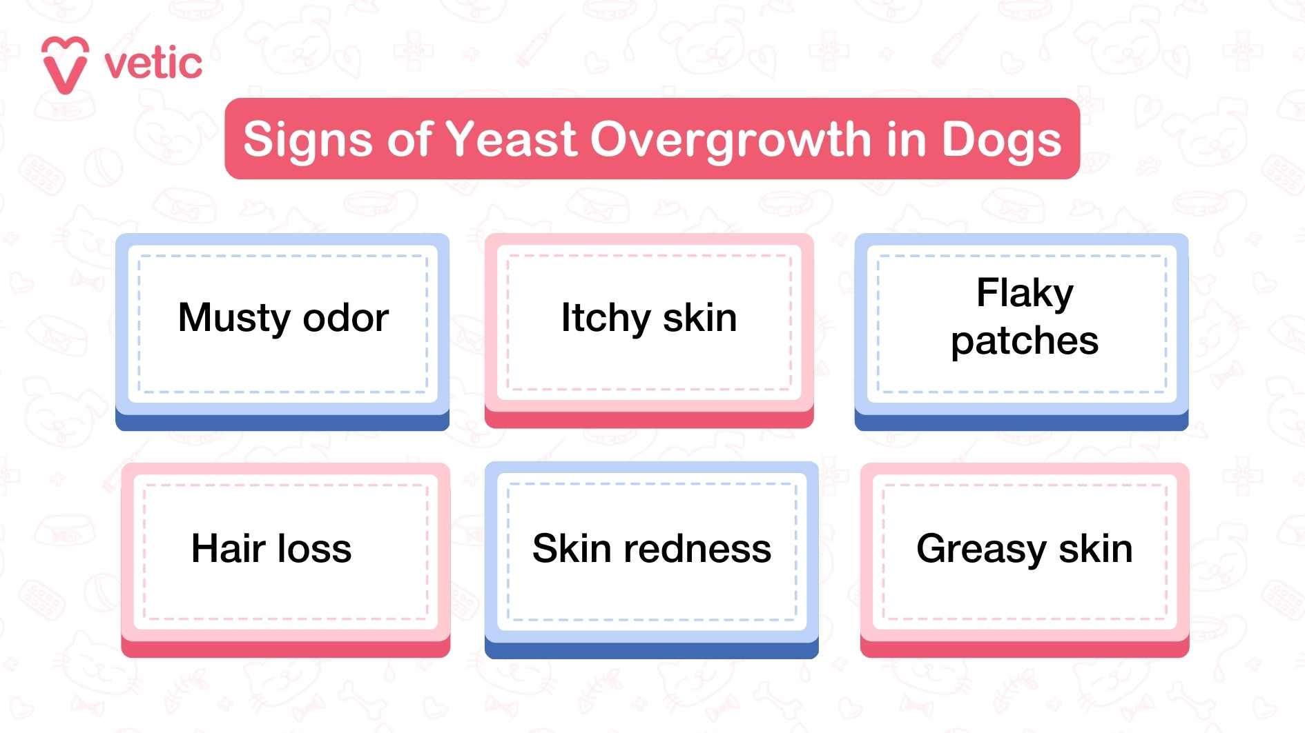 The infographic is titled “Signs of Yeast Overgrowth in Dogs” with the Vetic logo in the top left. Six boxes list the symptoms: Musty odor Itchy skin Flaky patches Hair loss Skin redness Greasy skin The design alternates between pink and blue bordered boxes on a light background with faint pet-themed icons.