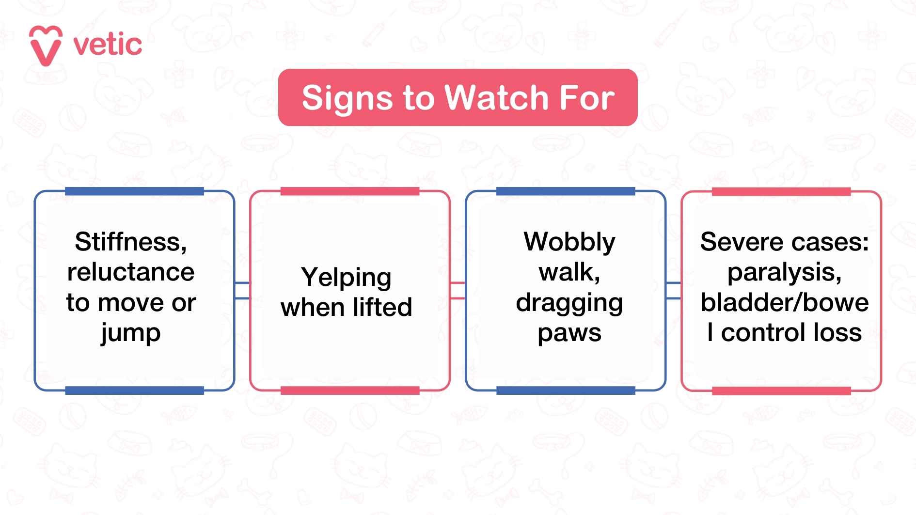 The infographic titled “Signs of IVDD in Dogs to Watch For” lists the key symptoms of IVDD in dogs. These include stiffness or reluctance to move or jump, yelping when lifted, wobbly walking or dragging paws, and in severe cases, paralysis along with bladder or bowel control loss. The design uses a box layout with alternating blue and red borders to clearly separate each sign.