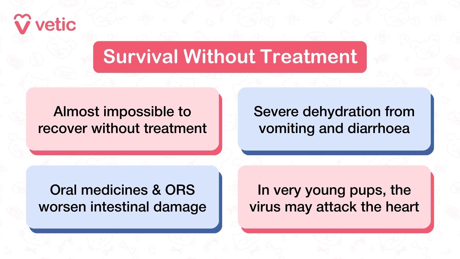 the consequences of leaving Parvovirus untreated in dogs. The layout is stark and direct, with each point reinforcing the urgency of medical intervention. It begins by stating that recovery without treatment is nearly impossible, immediately setting the tone for the gravity of the disease. The second point highlights severe dehydration caused by relentless vomiting and diarrhea—two hallmark symptoms that rapidly weaken a dog’s system. The third point warns against relying on oral medicines or oral rehydration solutions, as these can worsen intestinal damage rather than help. Finally, the image underscores that in very young puppies, the virus may attack the heart, adding a layer of fatal risk beyond gastrointestinal complications.