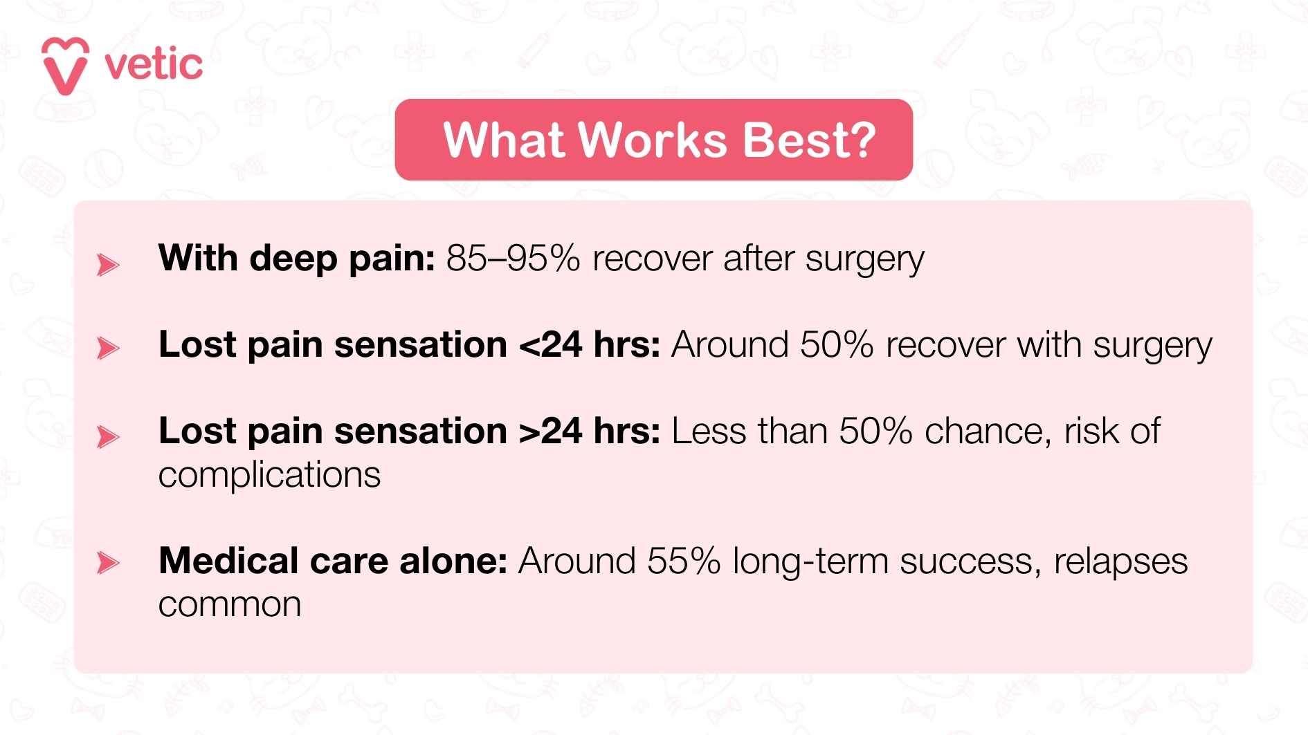 The infographic titled “What Works Best?” compares recovery outcomes for dogs with IVDD based on their condition at the time of treatment. It explains that dogs who still have deep pain sensation have the best chance of recovery (85–95%) after surgery. If pain sensation is lost for less than 24 hours, about 50% can recover with surgery. If pain sensation is lost for more than 24 hours, the chances drop below 50%, with added risk of complications. Medical care alone has about 55% long-term success but with frequent relapses.