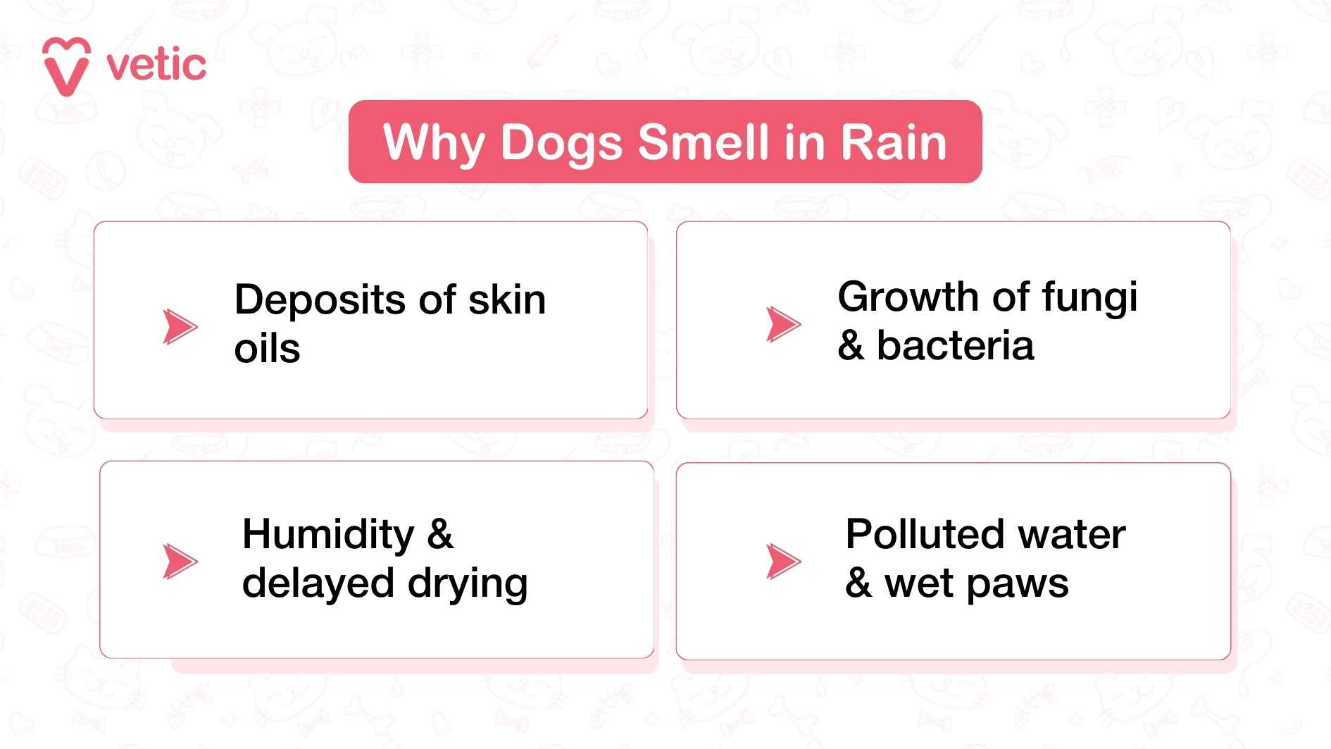 The infographic is titled “Why Dogs Smell in Rain” in bold white text inside a red banner at the top. Below the title, four rectangular boxes are arranged in a grid. Each box has a small red arrow icon pointing to the text. The boxes list common reasons for dog odor in the rainy season: Deposits of skin oils Growth of fungi & bacteria Humidity & delayed drying Polluted water & wet paws The design uses light pastel shades with a clean, minimal background featuring faint pet-themed illustrations. The “Vetic” logo is placed in the top left corner.