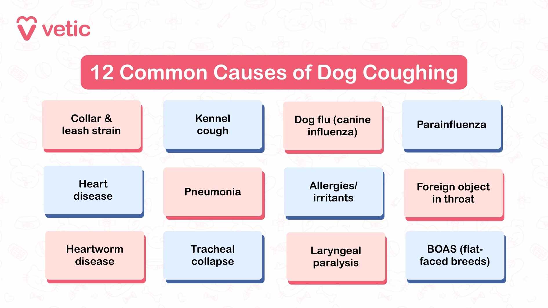 This Vetic infographic titled “12 Common Causes of Dog Coughing” presents a structured, color-coded grid that breaks down the most frequent medical and environmental reasons behind canine coughing. Each cause is housed in a separate box, making the layout visually digestible and ideal for quick reference. The twelve causes listed are: Collar & leash strain – Mechanical pressure on the trachea during walks Kennel cough – A contagious respiratory infection common in social settings Dog flu (canine influenza) – Viral illness with flu-like symptoms Parainfluenza – Another viral respiratory pathogen Heart disease – Can lead to fluid buildup and coughing Pneumonia – Serious lung infection causing wet or productive cough Allergies/irritants – Environmental triggers like dust, smoke, or pollen Foreign object in throat – Sudden onset coughing from obstruction Heartworm disease – Parasitic infection affecting lungs and heart Tracheal collapse – Common in small breeds; causes honking cough Laryngeal paralysis – Neurological issue affecting airway control BOAS (flat-faced breeds) – Brachycephalic Obstructive Airway Syndrome