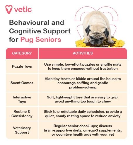 This infographic from Vetic, titled “Behavioural and Cognitive Support for Pug Seniors”, offers gentle, age-appropriate strategies to support mental stimulation and emotional stability in senior pugs. The layout is organized into two columns—Category and Activities—with a serene photo of a pug resting on yellow leaves at the top, evoking calm and comfort. Support Strategies: Puzzle Toys Activity: Use simple, low-effort puzzles or snuffle mats to keep them engaged without causing frustration. Scent Games Activity: Hide tiny treats or kibble around the house to encourage sniffing and gentle problem-solving. Interactive Toys Activity: Offer soft, lightweight toys that are easy to grip; avoid anything too tough to chew. Routine & Consistency Activity: Maintain predictable daily schedules and provide a quiet, cozy resting space to reduce anxiety. Veterinary Support Activity: Schedule regular senior check-ups and discuss brain-supportive diets, supplements, or cognitive health aids with your vet.