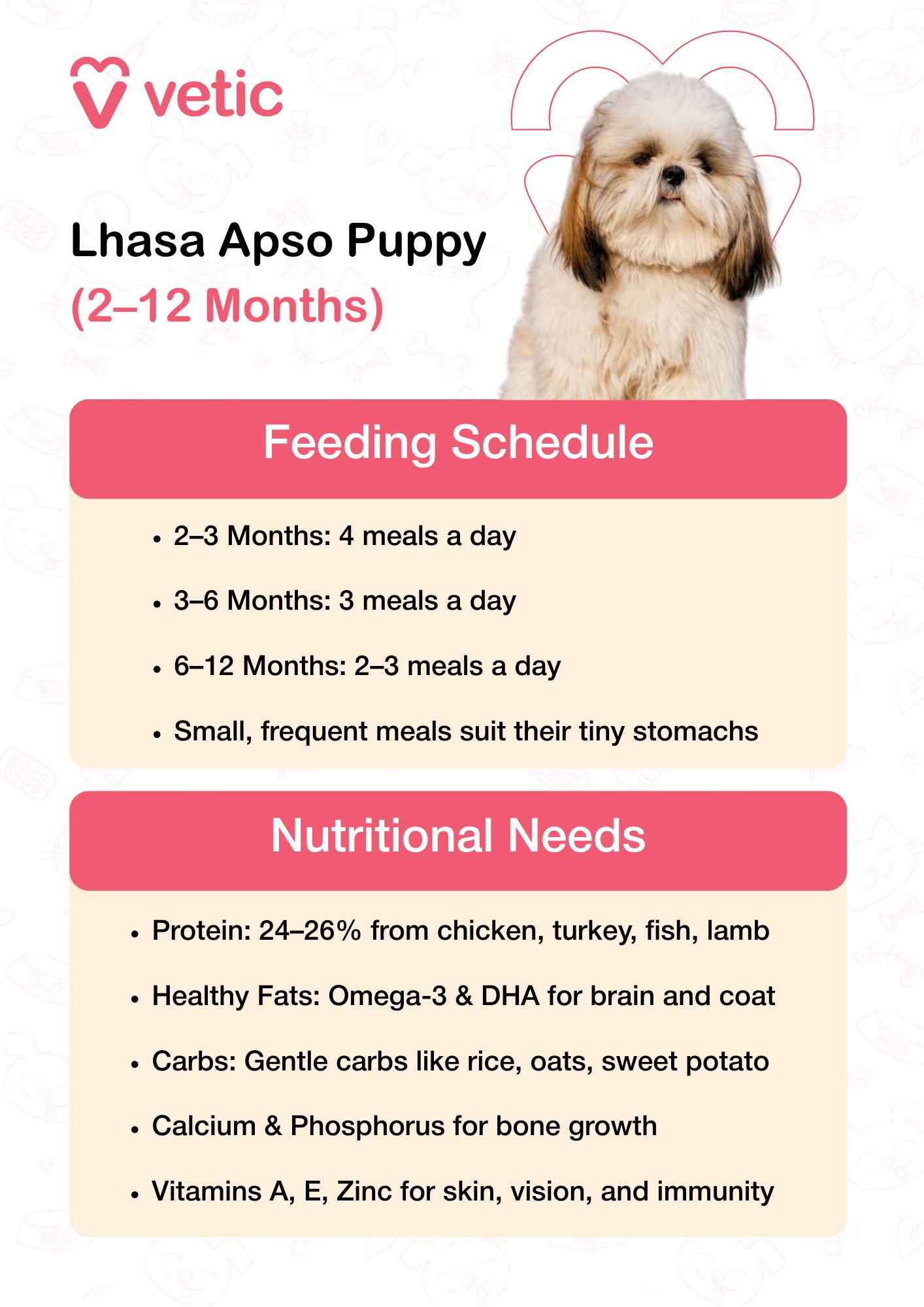 This infographic from Vetic features an adorable Lhasa Apso puppy with a soft, fluffy coat and bright eyes—visually capturing the early developmental phase. The layout is divided into two structured sections: Feeding Schedule and Nutritional Needs, offering age-specific guidance for optimal growth. 🕒 Feeding Schedule (Text interpreted in full sentences): Between 2 to 3 months, Lhasa Apso puppies should be fed four meals a day to support rapid growth and energy demands. From 3 to 6 months, reduce to three meals daily as their digestive system matures. Between 6 to 12 months, transition to two to three meals per day depending on activity level and appetite. Small, frequent meals are ideal for their tiny stomachs and help prevent digestive upset. 🥩 Nutritional Needs (Text interpreted in full sentences): Their diet should contain 24–26% protein, sourced from chicken, turkey, fish, or lamb to support muscle and tissue development. Include healthy fats with omega-3 and DHA, which are essential for brain development and a shiny coat. Choose gentle carbohydrates like rice, oats, and sweet potato to provide energy without straining digestion. Ensure adequate calcium and phosphorus to promote strong bone growth and skeletal health. Add vitamins A and E, along with zinc, to support skin integrity, vision, and immune function.
