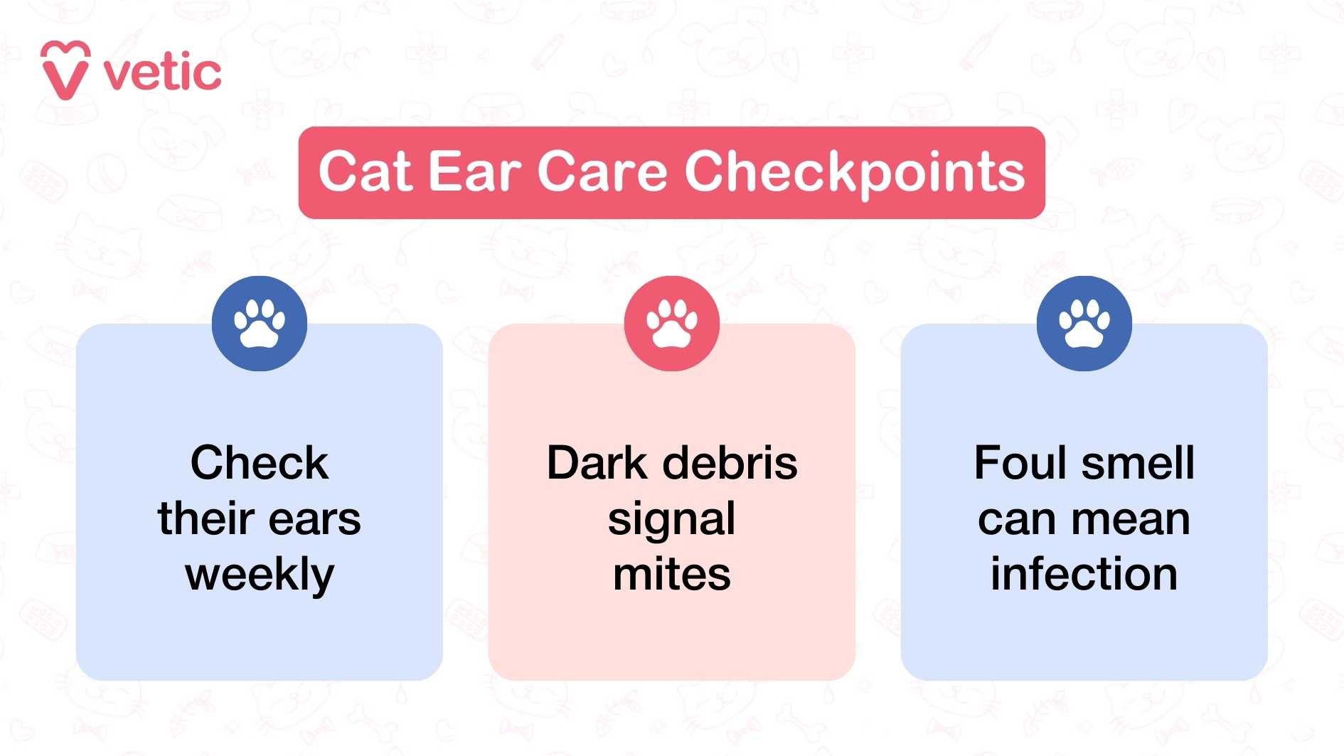 a visually engaging infographic from "Vetic" titled “Cat Ear Care Checkpoints.” It features three distinct colored boxes, each containing a key tip for monitoring feline ear health. At the top of each box is a small paw icon, reinforcing the pet-focused theme. The first box, in blue, reads “Check their ears weekly,” encouraging routine inspection. The second box, in pink, states “Dark debris signal mites,” alerting pet parents to a common sign of parasitic infection. The third box, also in blue, warns “Foul smell can mean infection,” pointing to a symptom that may require veterinary attention. The layout is clean and symmetrical, with high contrast between text and background colors for easy readability.