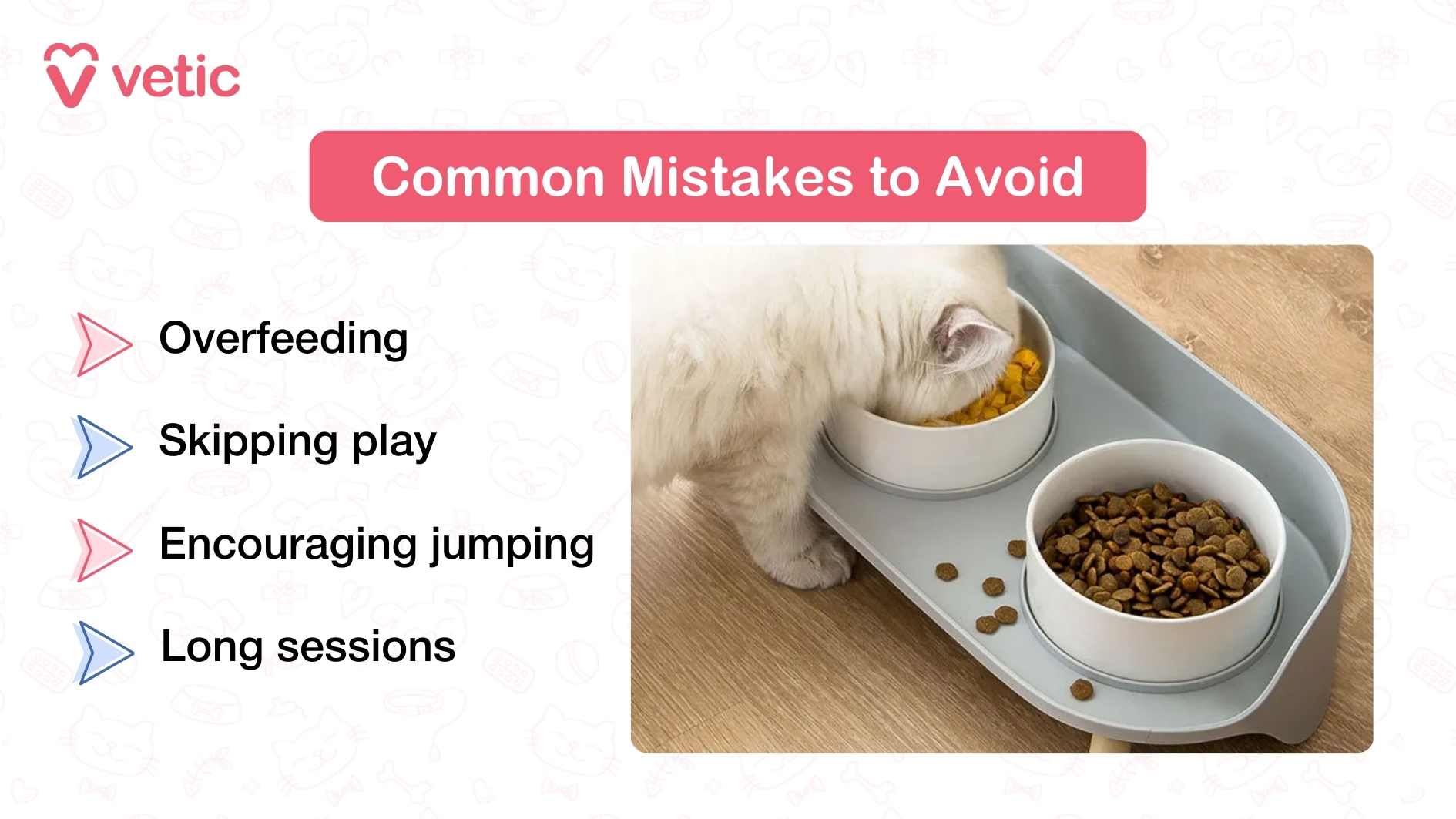 This image focuses on common mistakes that cat parents should avoid when caring for Munchkin cats. The header at the top reads “Common Mistakes to Avoid.” On the left, four mistakes are listed with arrow icons: overfeeding, skipping play, encouraging jumping, and conducting training or play sessions that are too long. On the right, there is a photograph of a fluffy white Munchkin cat eating from a bowl of food placed on a gray feeding tray, which also holds another bowl filled with dry kibble. Some kibble pieces are scattered on the wooden floor around the tray, visually reinforcing the point about overfeeding and food management.