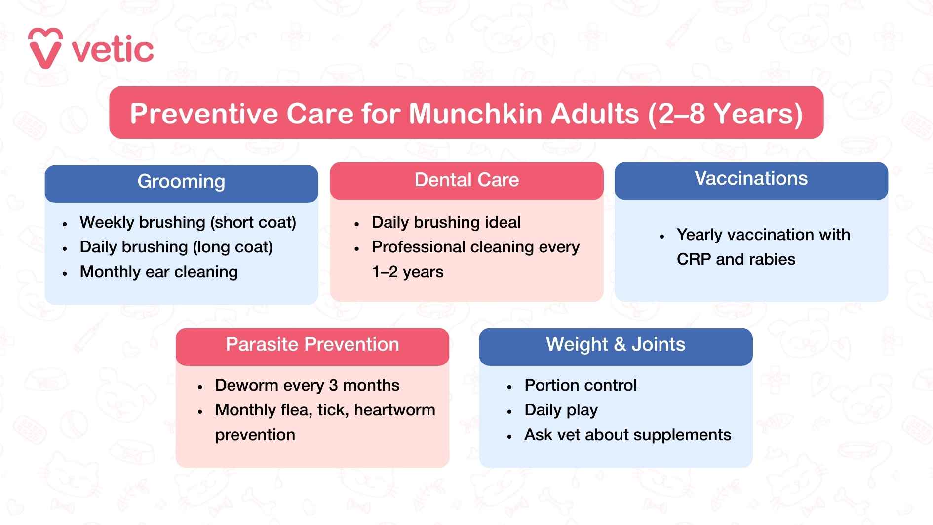 This infographic from Vetic, titled “Preventive Care for Munchkin Adults (2–8 Years),” offers a structured and visually digestible guide for pet parents committed to maintaining their Munchkin cat’s health during adulthood. The chart is divided into six key categories: Grooming, Dental Care, Vaccinations, Parasite Prevention, and Weight & Joints. Each section outlines specific recommendations tailored to the breed’s unique needs. Grooming advice includes weekly brushing for short coats and daily brushing for long coats, along with monthly ear cleaning. Dental care emphasizes daily brushing as ideal and professional cleanings every 1–2 years. Vaccination guidelines recommend annual CRP and rabies shots. Parasite prevention includes quarterly deworming and monthly protection against fleas, ticks, and heartworms. Weight and joint care focuses on portion control, daily play, and consulting a vet about supplements. The layout is clean and color-coded, making it easy for pet parents to absorb and act on the information. The chart reflects a proactive, breed-specific approach to feline wellness, reinforcing the importance of consistent care throughout a Munchkin cat’s adult years.