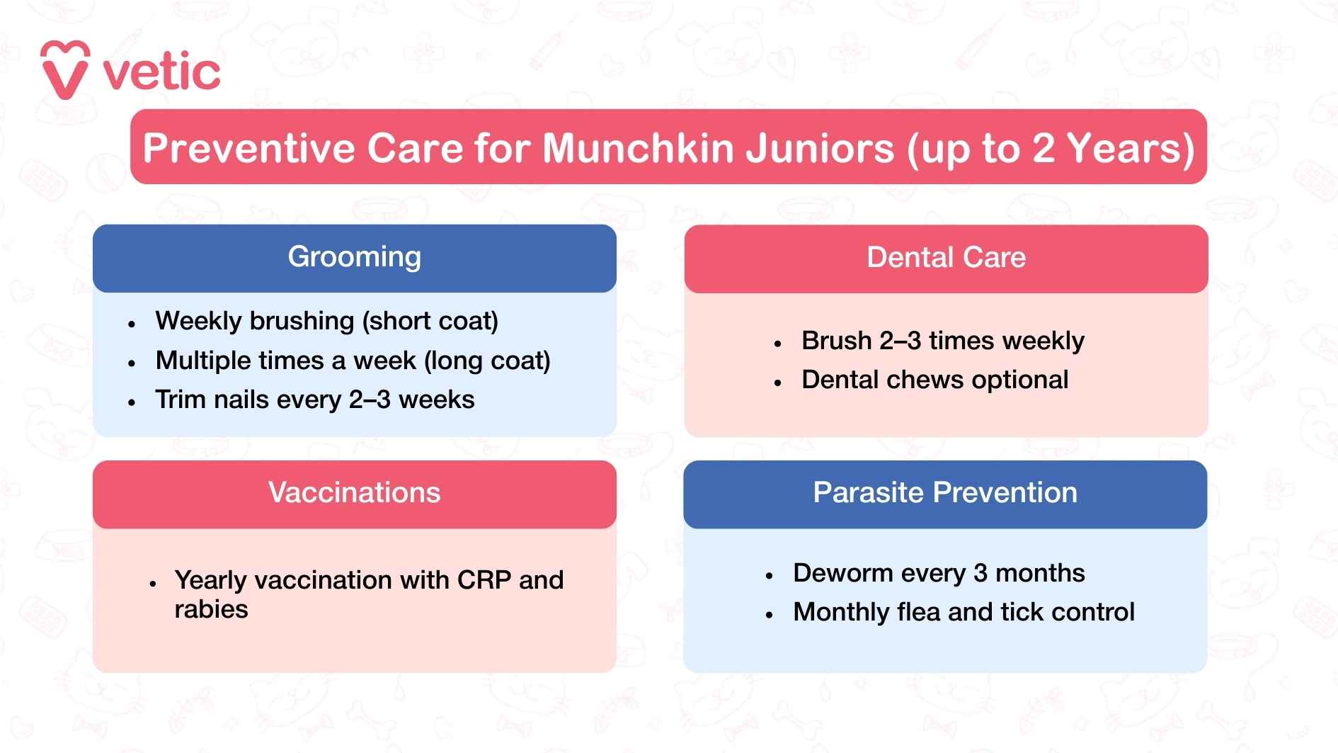 This Vetic infographic titled “Preventive Care for Munchkin Juniors (up to 2 Years)” offers a structured guide for pet parents navigating the transitional phase of feline development. The chart is divided into four key categories: Grooming, Dental Care, Vaccinations, and Parasite Prevention. Grooming recommendations include weekly brushing for short-coated juniors and multiple sessions per week for long-coated ones, along with nail trims every 2–3 weeks to maintain paw health and prevent injury. Dental care guidance suggests brushing two to three times weekly, with dental chews as an optional supplement to support oral hygiene. Vaccination protocols include annual CRP and rabies shots to maintain immunity during this active growth phase. Parasite prevention is outlined with quarterly deworming and monthly flea and tick control, ensuring consistent protection as the cat explores more of its environment. The layout is clean and easy to follow, making it ideal for pet parents who want to stay proactive during this critical stage of development. The tone is informative yet approachable, reinforcing the importance of building lifelong habits early.