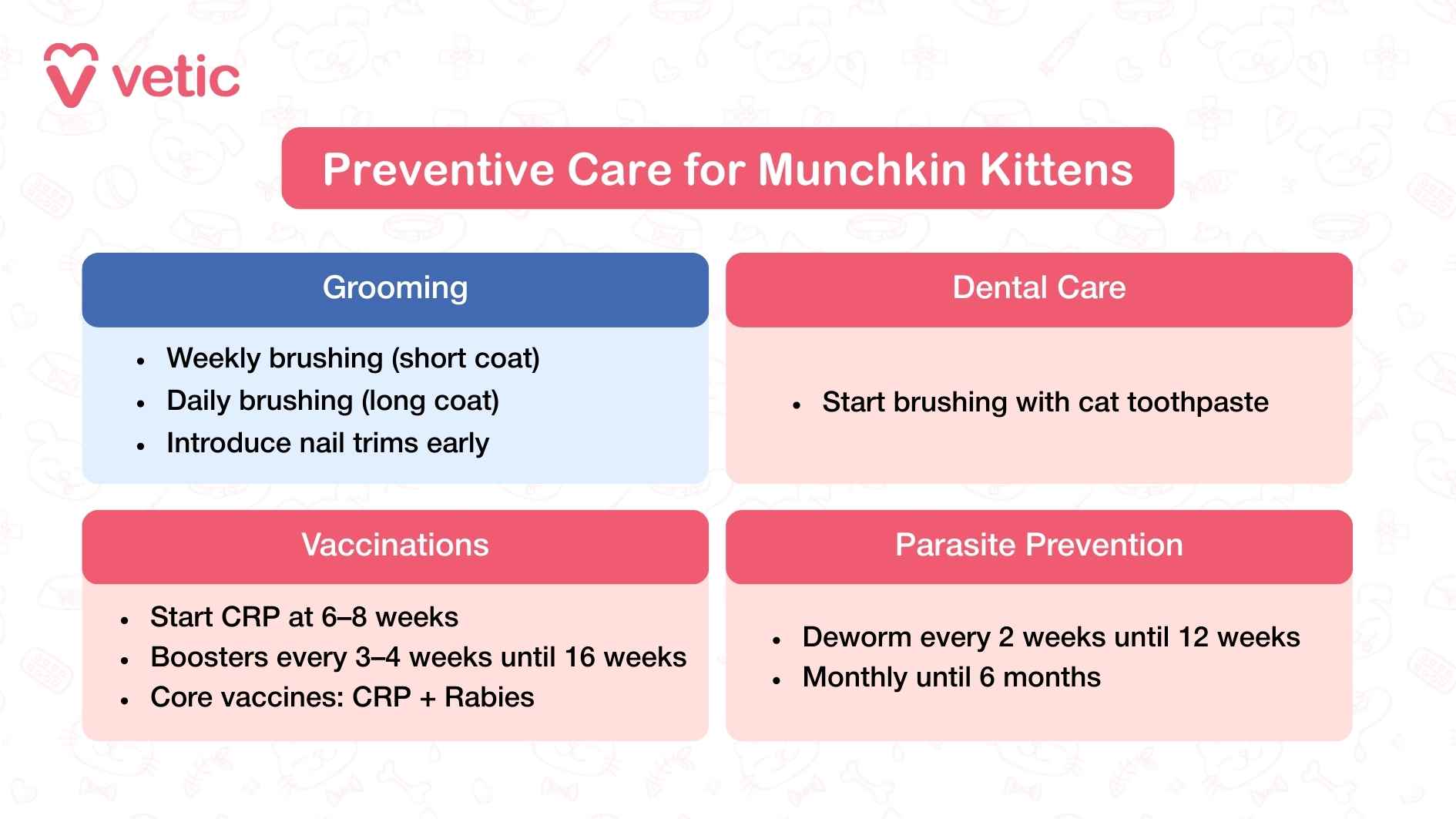 This Vetic graphic titled “Preventive Care for Munchkin Kittens” offers a clear, age-specific roadmap for early health interventions. The layout is divided into four essential categories: Grooming, Dental Care, Vaccinations, and Parasite Prevention. Grooming recommendations include weekly brushing for short-coated kittens and daily brushing for long-coated ones, with an emphasis on introducing nail trims early to build tolerance. Dental care guidance encourages starting with cat-safe toothpaste to establish a lifelong habit. The vaccination timeline begins with CRP at 6–8 weeks, followed by boosters every 3–4 weeks until 16 weeks, culminating in core vaccines like CRP and rabies. Parasite prevention is broken down into biweekly deworming until 12 weeks, then monthly treatments until 6 months. The visual structure is clean and intuitive, making it easy for new pet parents to follow. The tone is nurturing yet informative, reinforcing the importance of early, consistent care to set the foundation for a healthy adult life.