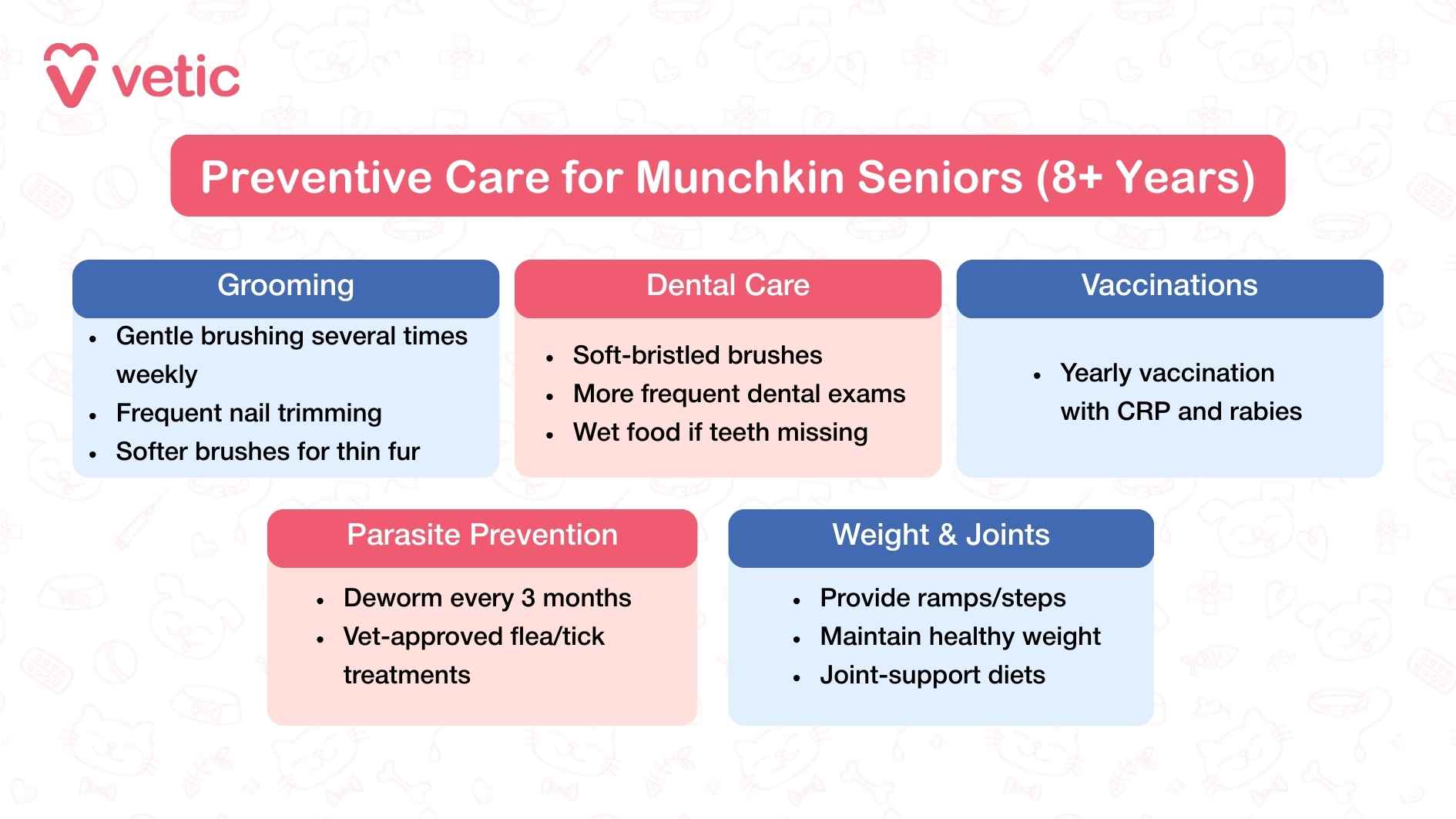 This Vetic infographic titled “Preventive Care for Senior Munchkin Cats (8+ Years)” delivers a compassionate and practical guide tailored to the needs of aging felines. The layout is divided into five categories: Grooming, Dental Care, Vaccinations, Parasite Prevention, and Weight & Joints. Grooming recommendations emphasize gentle brushing several times a week, frequent nail trimming, and the use of softer brushes to accommodate thinning fur. Dental care shifts toward soft-bristled brushes, more frequent professional exams, and wet food options for cats with missing teeth. Vaccination protocols remain consistent with annual CRP and rabies shots. Parasite prevention includes quarterly deworming and vet-approved flea and tick treatments. The Weight & Joints section encourages the use of ramps or steps to reduce strain, maintaining a healthy weight, and switching to joint-supportive diets. The visual tone is calm and reassuring, reflecting the thoughtful adjustments needed to support senior Munchkin cats with dignity and comfort. It’s a gentle nudge for pet parents to stay proactive as their cats age.