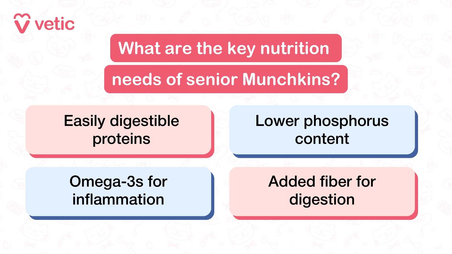 "What are the key nutrition needs of senior Munchkins?" Each box contains one targeted recommendation: Easily digestible proteins – As Munchkin cats age, their digestive systems become more sensitive. Providing proteins that are easy to break down ensures they continue to receive essential amino acids without gastrointestinal strain. Lower phosphorus content – Reduced phosphorus levels help protect kidney function, which often declines with age. This adjustment is especially important for senior cats prone to chronic kidney disease. Omega-3s for inflammation – Omega-3 fatty acids, such as EPA and DHA, help reduce systemic inflammation. This supports joint health, cognitive function, and overall comfort in aging cats. Added fiber for digestion – Fiber promotes regular bowel movements and supports gut health. It also helps manage weight and can reduce the risk of constipation, which is common in older cats. The layout is clean and color-coded, making each point visually distinct and easy to absorb. There are no additional images of cats or food—just focused, benefit-driven messaging that aligns with veterinary best practices.