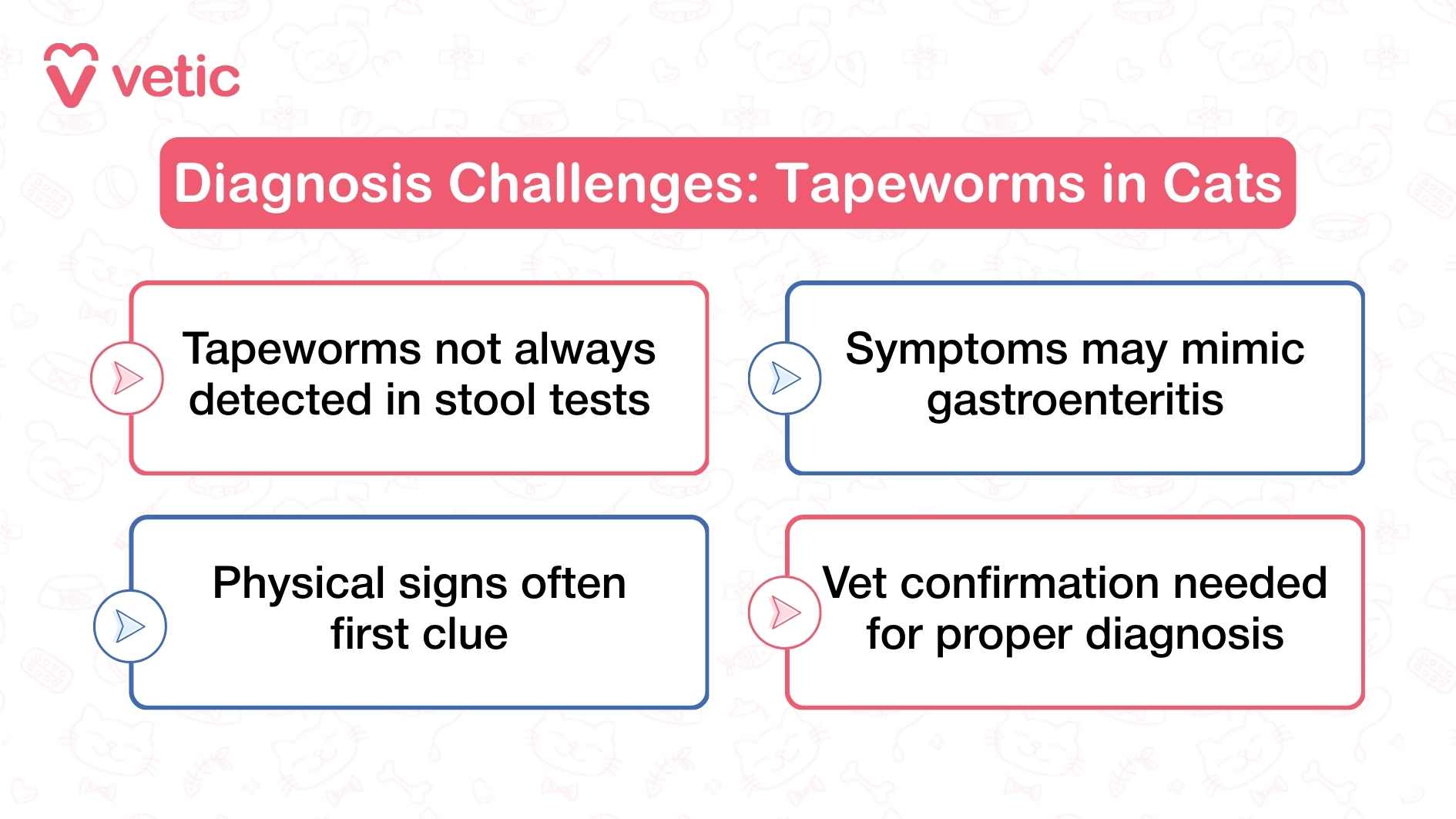 This infographic from Vetic, titled “Diagnosis Challenges: Tapeworms in Cats,” uses a clean layout to highlight four key hurdles in identifying tapeworm infections. The title is bold and direct, immediately signaling the complexity of the topic. Each point is listed in a structured format, making it easy for readers to absorb: Tapeworms not always detected in stool tests – emphasizing that standard fecal exams may miss intermittent shedding. Symptoms may mimic gastroenteritis – pointing to overlapping signs like vomiting or diarrhea that can mislead diagnosis. Physical signs often first clue – such as visible worm segments near the tail or in bedding. Vet confirmation needed for proper diagnosis – reinforcing the importance of professional evaluation and possibly advanced testing.