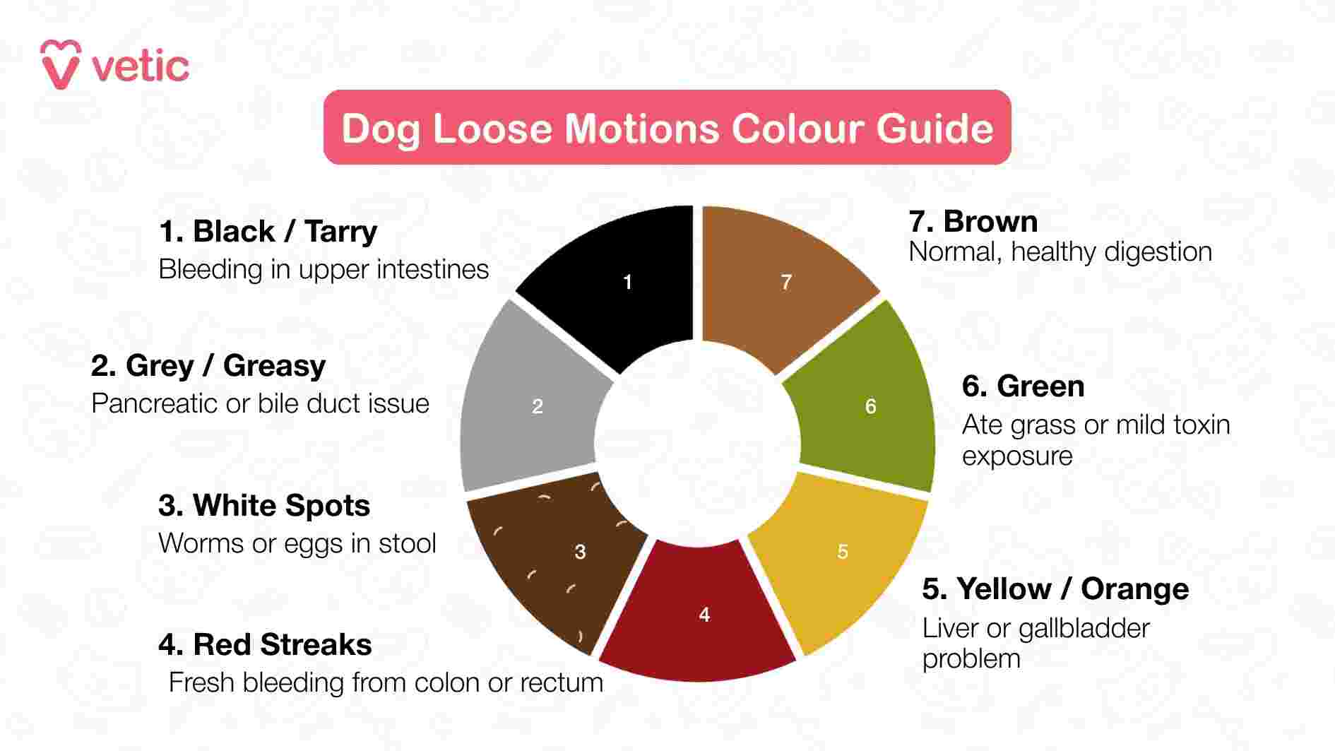 This circular chart from Vetic serves as a diagnostic color guide for dog loose motions, helping pet parents interpret stool color as a potential indicator of underlying health issues. The chart is divided into seven segments, each labeled with a distinct color and its associated meaning. Black or tarry stools suggest bleeding in the upper intestines, while grey or greasy stools may point to pancreatic or bile duct problems. White spots indicate the presence of worms or eggs, and red streaks signal fresh bleeding from the colon or rectum. Yellow or orange stools can be linked to liver or gallbladder issues, and green may result from grass ingestion or mild toxin exposure. Brown is the only color marked as normal, reflecting healthy digestion. The circular format makes it easy to compare and reference, offering pet parents a quick visual cue to determine when veterinary attention is needed.