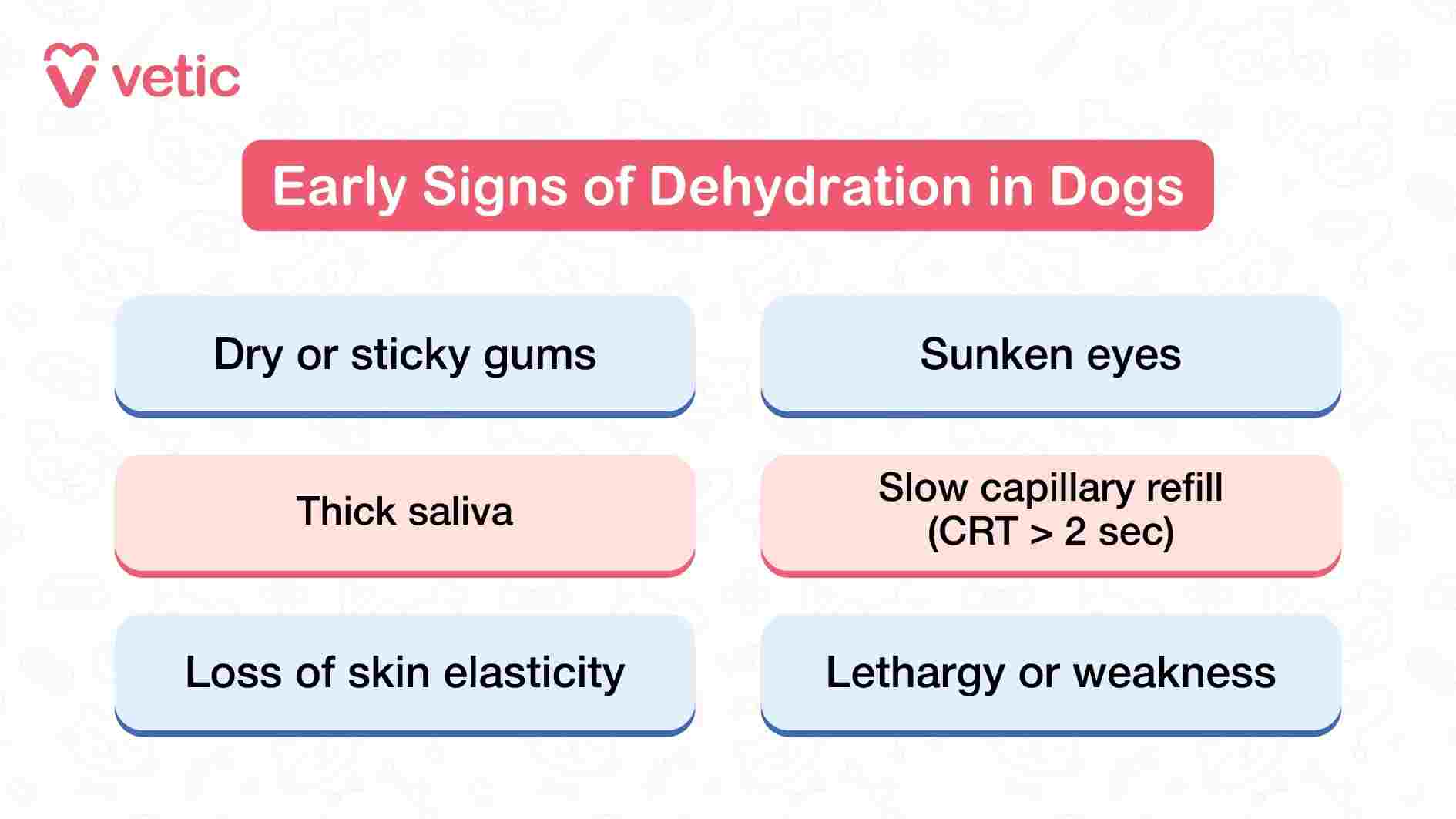 This image from Vetic is a structured infographic titled “Early Signs of Dehydration in Dogs,” prominently displayed in a red header box. The layout is divided into six neatly arranged boxes, each highlighting a specific clinical sign that pet parents should watch for. These include dry or sticky gums, sunken eyes, thick saliva, slow capillary refill time (CRT > 2 seconds), loss of skin elasticity, and lethargy or weakness. The visual design is clean and direct, using simple icons and bold text to ensure clarity and quick recognition. The image serves as a diagnostic guide, helping dog owners identify dehydration before it escalates into a medical emergency.
