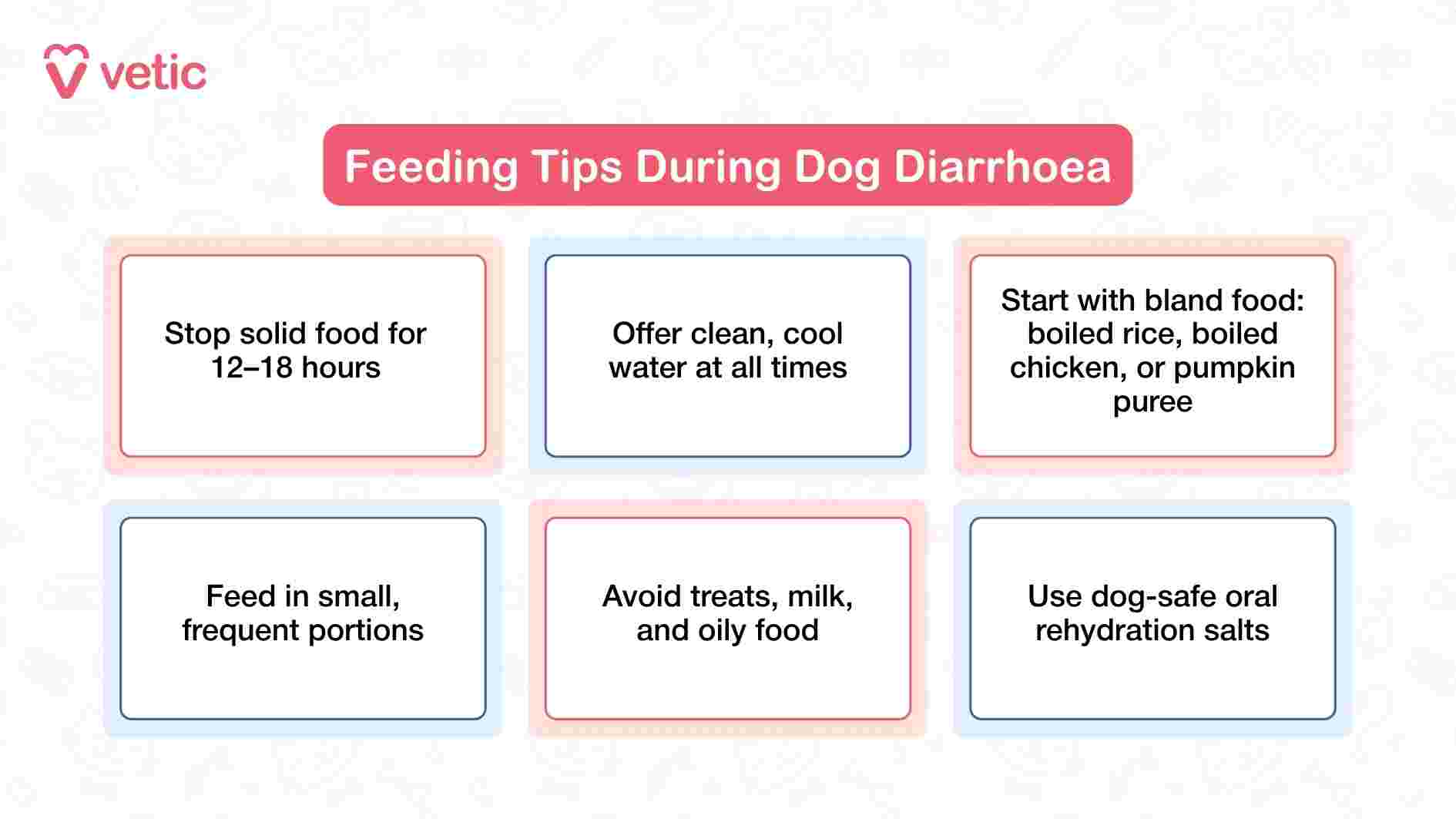 This infographic from Vetic delivers six practical feeding tips for dogs experiencing diarrhea, each presented in its own box for clarity and quick reference. The guidance begins with a temporary pause on solid food for 12–18 hours to allow the gut to rest. It emphasizes the importance of offering clean, cool water at all times to prevent dehydration. Once feeding resumes, bland options like boiled rice, boiled chicken, or pumpkin purée are recommended. The image also advises feeding in small, frequent portions and avoiding treats, milk, and oily foods that could worsen symptoms. Lastly, it highlights the use of dog-safe oral rehydration salts to support recovery. The layout is clean and supportive, helping pet parents feel confident in managing their dog’s nutrition during digestive upset.