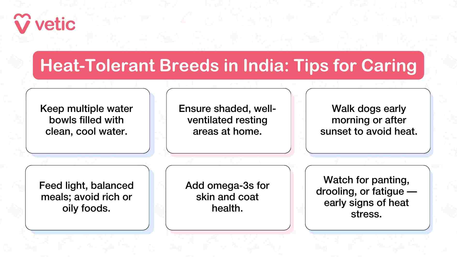 Today I will attach a series of images from the blog "heat tolerant dog breeds for the Indian Climate" and I need 2 things from you - a detailed description of the image attached in complete sentences. you must avoid using bullet points, numbered lists and emojis. the next thing is a shorter takeaway message or the implication of the message delivered through the image for the readers. Absolutely, Ritu. Once you upload the first image, I’ll provide a full descriptive paragraph followed by a concise takeaway message that aligns with your blog’s tone and audience needs. Just send the image when you're ready. The image features six dogs of varying breeds standing together on a grassy path, framed by a serene backdrop of open fields and scattered trees. Each dog displays distinct physical traits—ranging from short coats to medium builds—highlighting the diversity among heat-tolerant breeds. The banner at the top reads “15 Heat-Tolerant Dog Breeds Ideal for the Indian Climate,” clearly positioning the image as part of an educational guide for pet parents navigating breed choices in warmer regions. The Vetic logo in the top-left corner subtly reinforces the brand’s authority in pet care, suggesting that the content is both expert-backed and tailored for Indian conditions. Takeaway message: Choosing a dog breed suited to India’s heat isn’t just about comfort—it’s essential for your pet’s long-term health and happiness. The image presents an Afghan Hound standing gracefully in front of a brick building, its long, silky coat flowing in the breeze. The dog’s slender frame and poised stance emphasize its elegance and independence—traits that are visually reinforced by the breed’s reputation for being graceful and loyal to its family. The accompanying text outlines key physical attributes, including a height range of 60–74 cm and a weight of 23–27 kg, while also noting health considerations such as susceptibility to hip dysplasia and heat rashes. The overall composition, paired with the Vetic branding, positions the Afghan Hound as a breed that combines beauty with specific care needs, especially in warmer climates. Takeaway message: While Afghan Hounds thrive in heat due to their lean build, their long coat and health sensitivities demand attentive care in India’s warmer regions. The image showcases an Australian Cattle Dog standing alertly on a rock, its mouth slightly open as if mid-pant or bark. The dog’s posture and focused gaze convey a sense of energy and intelligence, traits that are reinforced by the accompanying text. With a compact frame measuring 43–51 cm in height and weighing between 16–23 kg, this breed is known for its loyalty and sharp instincts. The blurred background draws attention to the dog’s stance, while the Vetic branding signals credibility and relevance for pet parents seeking breed-specific guidance. Notably, the image also flags health concerns such as hip dysplasia and hereditary deafness, underscoring the importance of informed care. Takeaway message: Australian Cattle Dogs are heat-resilient and highly active, but their health risks require vigilant monitoring—especially in India’s demanding climate. The image features a Border Collie standing outdoors, bathed in warm sunlight that accentuates the texture and sheen of its coat. The dog’s alert expression and upright posture reflect its renowned intelligence and responsiveness. Positioned on the right side of the frame, the Border Collie is visually balanced by a text panel on the left that outlines its key traits: a height range of 46–56 cm, weight between 13–22 kg, and a temperament described as exceptionally intelligent, active, and alert. Health notes caution against conditions like hip dysplasia and epilepsy, reminding viewers that even highly capable breeds require attentive care. The Vetic logo in the corner reinforces the image’s credibility and its role in guiding pet parents toward informed decisions. Takeaway message: Border Collies excel in hot climates thanks to their agility and sharp instincts, but their high energy and health risks mean they thrive best with proactive, engaged care. The image delivers a clear warning about dog breeds that are poorly suited to India’s hot and humid climate. Dominated by a red banner titled “Breeds to Avoid in Indian Heat,” the graphic lists specific concerns: Huskies and St. Bernards struggle in humid conditions, thick double coats trap heat and cause stress, and pet parents are advised to opt for short-coated or native Indian breeds instead. To the right, a Siberian Husky sits on snow, visually reinforcing its natural adaptation to cold environments and highlighting the mismatch between such breeds and India’s climate. The Vetic branding lends authority to the message, positioning it as a trusted source of pet care guidance. Takeaway message: Cold-climate breeds like Huskies may suffer in India’s heat—choosing native or short-coated dogs is a smarter, more compassionate choice. The image features a small white Chihuahua standing confidently on a patch of grass, surrounded by lush greenery. Its red collar adds a pop of color, drawing attention to its alert posture and expressive eyes. Despite its tiny frame—measuring just 15–25 cm in height and weighing between 1.5–3 kg—the Chihuahua exudes a bold, playful energy. The accompanying text highlights its strong bond with family and notes health concerns such as dental disease and dehydration, which are particularly relevant in hot climates. The Vetic branding lends credibility to the information, positioning the Chihuahua as a heat-tolerant breed that still requires attentive care. Takeaway message: Chihuahuas handle heat well due to their size, but their small stature makes hydration and dental care critical in India’s warm conditions. The image features a Dalmatian standing outdoors, wearing a red collar that contrasts sharply with its iconic black-and-white spotted coat. The dog’s stance is lively and engaged, reflecting its energetic and people-oriented nature. The surrounding environment suggests a casual, open-air setting—ideal for a breed that thrives on outdoor activity and family interaction. The text accompanying the image outlines the Dalmatian’s physical dimensions, ranging from 48–61 cm in height and 20–32 kg in weight, and highlights its playful temperament. Health notes caution about risks such as deafness and urinary stones, reminding pet parents that even active, heat-tolerant breeds require thoughtful care. The Vetic branding reinforces the image’s role as a trusted educational resource. Takeaway message: Dalmatians are well-suited to India’s climate and family life, but their health vulnerabilities mean proactive care is key to keeping them happy and active. The image features a Doberman Pinscher lying calmly in a field of yellow flowers, its sleek black coat and muscular build contrasting vividly with the soft, sunlit surroundings. The dog wears a collar with a tag, suggesting it is well cared for and possibly trained. Despite its relaxed pose, the Doberman’s alert eyes and upright ears hint at its innate vigilance and readiness—traits that align with its reputation as a loyal, courageous, and obedient guard dog. The text provides essential breed data, noting a height range of 63–72 cm and weight between 30–40 kg, while also flagging health risks such as cardiac conditions and Von Willebrand’s disease. The Vetic branding reinforces the image’s role as a trusted source of breed-specific guidance for Indian pet parents. Takeaway message: Dobermans adapt well to India’s climate and excel as protectors, but their heart health demands regular vet checkups and informed care. The image features a Greyhound standing sideways on a grassy patch, its lean frame and long legs clearly visible against the soft green backdrop. The dog’s posture is relaxed yet poised, reflecting the breed’s gentle and easy-going nature. With a height range of 68–76 cm and a weight between 27–32 kg, the Greyhound is built for speed but known for its calm demeanor. The accompanying text highlights its friendly and docile temperament, while also noting health concerns such as sensitive skin, bloat, and joint stiffness—conditions that require careful management, especially in warmer climates. The Vetic branding lends authority to the information, positioning the Greyhound as a viable option for Indian households seeking a low-maintenance, heat-tolerant companion. Takeaway message: Greyhounds are well-suited to India’s climate and lifestyle, but their sensitive health profile calls for gentle care and regular monitoring. The image features a Kombai Dog standing confidently on a leash in an outdoor setting, surrounded by rocks and greenery. Its muscular build and alert posture reflect the breed’s reputation for bravery and loyalty. The natural backdrop reinforces the Kombai’s origins as a native Indian breed, well-adapted to the country’s climate and terrain. The text highlights its physical dimensions—standing 55–65 cm tall and weighing between 20–30 kg—and describes its temperament as strong, deeply loyal, and ideal for guarding. Health notes caution against tick and flea infestations, a common concern in warm, humid environments. The Vetic branding lends credibility to the information, positioning the Kombai as a resilient and culturally rooted choice for Indian pet parents. Takeaway message: Kombai Dogs are heat-hardy and fiercely loyal, making them ideal for Indian households—just be vigilant about parasite control. The image features a Mexican Hairless Dog, also known as Xoloitzcuintli, standing in a field dotted with flowers. Its smooth, hairless body and upright ears are prominently displayed, emphasizing the breed’s distinctive appearance and natural adaptation to warm climates. The dog’s calm demeanor and attentive posture reflect its affectionate and devoted nature, as described in the accompanying text. With a height range of 38–60 cm and a weight between 10–18 kg, the Xoloitzcuintli is compact yet sturdy. Health notes caution that its exposed skin requires sun protection and consistent hydration, especially in regions with intense heat. The Vetic branding reinforces the image’s educational intent, guiding pet parents toward informed, climate-conscious choices. Takeaway message: The Xoloitzcuintli thrives in India’s heat, but its bare skin demands extra care—sun protection and hydration are non-negotiable. The image features a Mudhol Hound, also known as the Caravan Hound, standing outdoors on a leash against a rugged backdrop of rocks and greenery. Its lean, muscular build and upright stance reflect the breed’s athleticism and alertness. The dog’s elongated limbs and streamlined body suggest speed and endurance, traits that have made it a prized native breed in India. The accompanying text outlines its physical dimensions—standing 60–70 cm tall and weighing between 20–30 kg—and describes its temperament as loyal with a strong prey drive. Health notes caution that the breed is sensitive to cold and prone to joint issues, making it especially well-suited for warm climates but requiring care during seasonal shifts. The Vetic branding reinforces the image’s credibility and its role in promoting native breeds for Indian households. Takeaway message: Mudhol Hounds are built for India’s heat and terrain, but their joints and cold sensitivity call for thoughtful, climate-aware care. Sorry, I couldn't generate that image. Please try again. The image features a white Rajapalayam dog lying calmly on a grassy patch in an outdoor setting, its body relaxed yet alert. The dog’s regal posture and clean, muscular build reflect the breed’s proud and protective nature. The soft background pattern, adorned with pet-related icons, adds a gentle visual context that complements the breed’s dignified appearance. According to the text, the Rajapalayam stands between 65–75 cm tall and weighs 25–30 kg. It is described as independent and deeply devoted to its family, making it an ideal companion for Indian households. Health notes caution against potential issues like deafness and skin irritation, which are particularly relevant in warm, humid climates. The Vetic branding reinforces the image’s credibility and its role in promoting native breeds that thrive in India’s environment. Takeaway message: Rajapalayams are heat-adapted and fiercely loyal, but their skin and hearing need special attention to keep them thriving in Indian conditions. Sorry, I couldn't generate that image. Please try again. The image features a Rampur Greyhound standing in profile against a dark, neutral background that draws attention to the dog’s sleek, muscular frame. Its posture is upright and composed, showcasing the breed’s natural grace and athleticism. With a height range of 65–75 cm and a weight between 25–35 kg, the Rampur Greyhound is built for speed and endurance, making it well-suited to active lifestyles and warm climates. The accompanying text describes the breed as calm, swift, and loyal, with a particular fondness for daily runs. Health notes caution against conditions like hip dysplasia and bloat, which require proactive management. The Vetic branding reinforces the image’s credibility, positioning the Rampur Greyhound as a native Indian breed that thrives in the country’s environment while benefiting from informed care. Takeaway message: Rampur Greyhounds are agile and heat-adapted, but their athletic build demands regular exercise and watchful health maintenance. Sorry, I couldn't generate that image. Please try again. The image features a Saluki standing gracefully near a body of water, framed by trees and soft natural light. Its slender build, long legs, and smooth, light-colored coat are clearly visible, emphasizing the breed’s agility and elegance. The dog’s relaxed yet attentive posture reflects its gentle and affectionate temperament. With a height range of 58–71 cm and a weight between 18–27 kg, the Saluki is built for endurance and speed, making it well-suited to warm climates. The accompanying text notes potential health concerns such as heart and joint issues, which require proactive care. The Vetic branding lends authority to the image, positioning the Saluki as a refined, heat-tolerant breed ideal for Indian households that can meet its exercise and health needs. Takeaway message: Salukis thrive in India’s warmth with grace and stamina, but their heart and joint health must be carefully managed to keep them active and content. Sorry, I couldn't generate that image. Please try again. The image features an Indie Dog, also known as the Indian Pariah or Desi Dog, standing confidently on a dirt surface with a blurred natural background. Its short coat, erect ears, and lean, muscular build reflect the breed’s natural adaptation to India’s climate and terrain. The dog’s posture is alert and self-assured, embodying the traits listed in the graphic: intelligence, loyalty, and environmental resilience. With a height range of 50–65 cm and a weight between 15–30 kg, the Indie Dog is well-suited for active lifestyles and outdoor environments. Health notes mention susceptibility to skin issues and parasites, which are common in tropical regions and require regular preventive care. The Vetic branding reinforces the image’s educational purpose, promoting native breeds that thrive in Indian conditions with minimal intervention. Takeaway message: Indie Dogs are naturally built for India’s climate and lifestyle—choosing them means embracing a hardy, loyal companion with minimal upkeep. Sorry, I couldn't generate that image. Please try again. The image features a Whippet standing on a grassy surface with trees in the background, its sleek, muscular build and short coat clearly visible. The dog’s posture is relaxed yet attentive, reflecting its gentle and affectionate nature. With a height range of 45–56 cm and a weight between 11–18 kg, the Whippet is compact and agile, making it well-suited to warm climates. The accompanying text highlights its calm indoor demeanor and notes that its thin skin requires protection from rough play and extreme cold—factors that are less concerning in India’s predominantly warm environment. The Vetic branding reinforces the image’s role as a trusted guide for pet parents seeking heat-tolerant breeds. Takeaway message: Whippets are ideal for India’s climate and indoor lifestyle, but their delicate skin needs mindful handling to keep them safe and comfortable. Sorry, I couldn't generate that image. Please try again. The image is a structured infographic titled “Heat-Tolerant Breeds in India: Tips for Caring,” divided into six distinct boxes, each offering a practical care recommendation. The visual layout is clean and informative, designed to guide pet parents in maintaining the well-being of dogs suited to India’s climate. The tips emphasize hydration, shaded rest areas, and timing walks during cooler parts of the day. Nutritional advice includes feeding light, balanced meals and supplementing with omega-3s for skin and coat health. The final box highlights early signs of heat stress—panting, drooling, and fatigue—encouraging vigilance and timely intervention. The Vetic branding reinforces the credibility of the guidance, positioning the graphic as a trusted resource for responsible pet care.