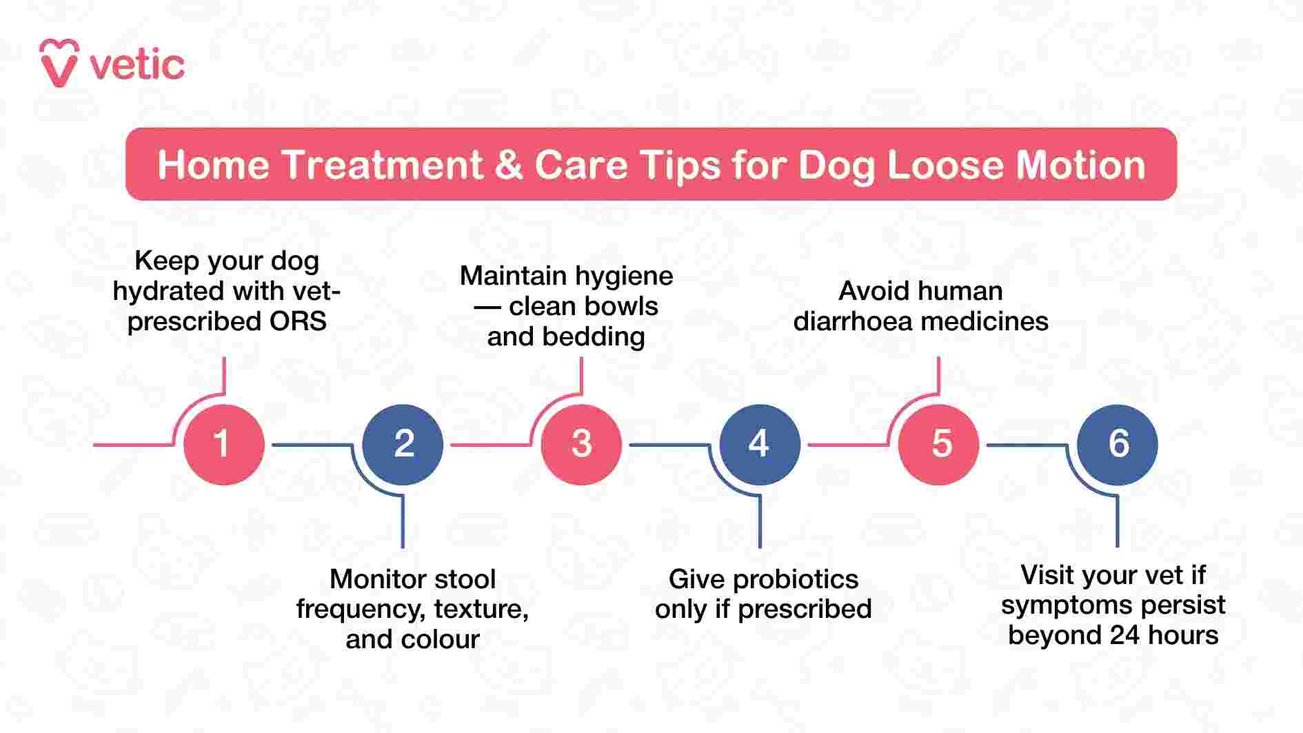 This infographic from Vetic outlines six essential home care steps for managing loose motions in dogs. The title, “Home Treatment & Care Tips for Dog Loose Motion,” sets a practical and supportive tone. Each tip is presented in a separate box, making the information easy to digest. The guidance begins with hydration using vet-prescribed oral rehydration solutions, followed by monitoring stool characteristics to track progress. Hygiene is emphasized through regular cleaning of bowls and bedding. The image also cautions against using human medications and stresses that probiotics should only be given if prescribed. Finally, it advises pet parents to consult a vet if symptoms persist beyond 24 hours. The layout and messaging are designed to empower pet owners with safe, medically sound actions during a stressful time.
