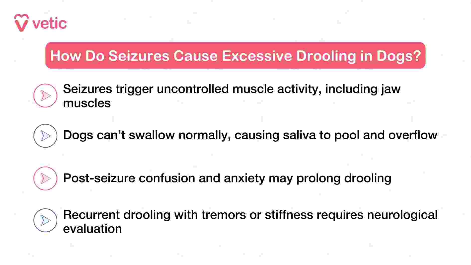 This image from Vetic explains how seizures can lead to excessive drooling in dogs by breaking down the physiological and behavioral responses involved. The heading immediately signals urgency, framing seizures as a serious cause of abnormal drooling. The first point highlights that seizures trigger involuntary muscle contractions, including those in the jaw, which can disrupt normal mouth function. The second point explains that during a seizure, dogs lose the ability to swallow properly, causing saliva to accumulate and spill out. The third point adds that even after the seizure ends, lingering confusion and anxiety may prolong the drooling episode. Finally, the image warns that if drooling is accompanied by tremors or stiffness, it could indicate a neurological disorder requiring veterinary evaluation. Together, these insights help pet parents recognize seizure-related drooling as a red flag rather than a benign symptom.