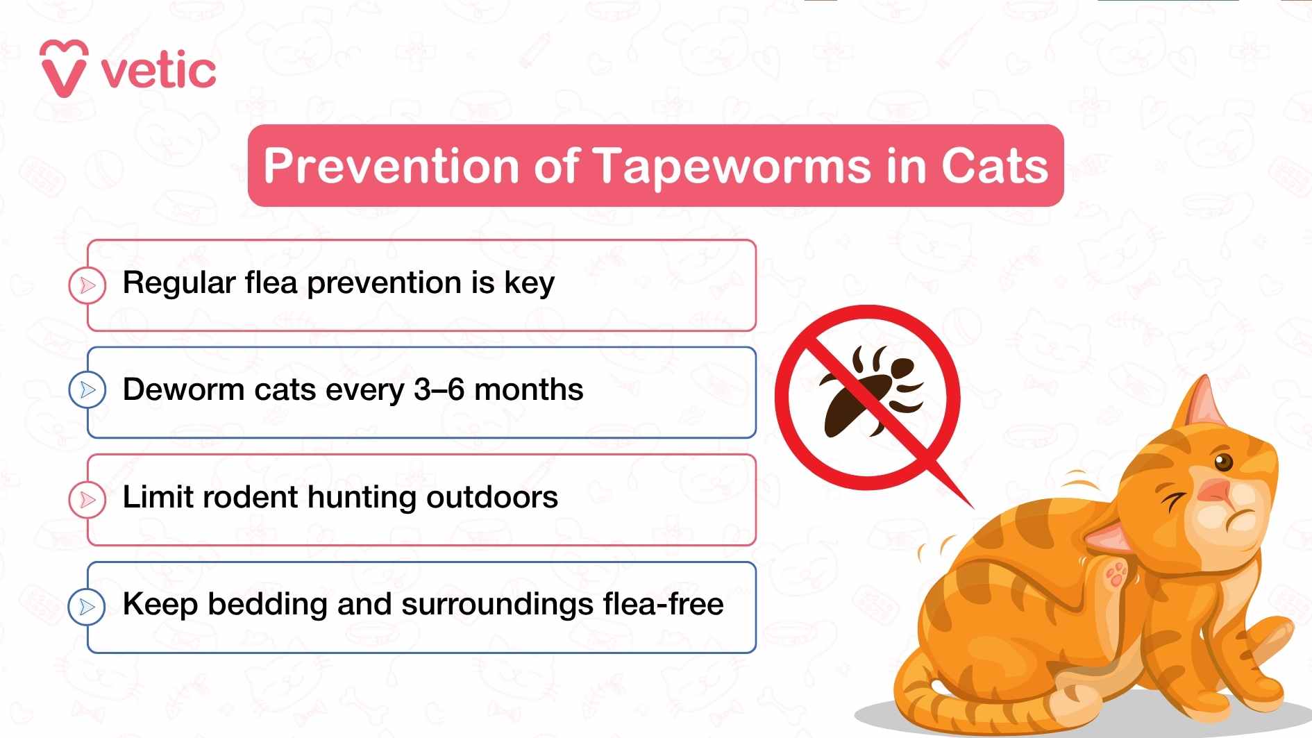 “Prevention of Tapeworms in Cats” uses a warm pink banner to draw attention to four essential prevention strategies. At the center is a cartoon-style orange cat with a worried expression, visually reinforcing the seriousness of tapeworm risk. A prominent flea icon with a red prohibition symbol emphasizes the role of flea control in tapeworm prevention. The four prevention tips are presented in a clean, easy-to-read format: Regular flea prevention is key – highlighting the importance of consistent anti-parasitic treatment. Deworm cats every 3–6 months – reinforcing routine veterinary care. Limit rodent hunting outdoors – pointing to behavioral risks that increase exposure. Keep bedding and surroundings flea-free – stressing environmental hygiene. The layout is designed for quick comprehension, making it ideal for social sharing or clinic waiting areas. The use of soft colors and friendly illustration keeps the tone approachable while delivering medically relevant advice.
