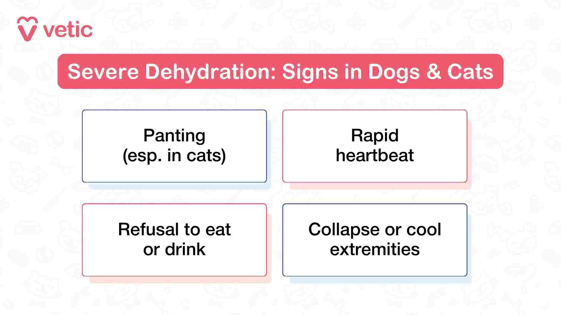 This Vetic infographic titled “Severe Dehydration: Signs in Dogs & Cats” uses a red banner to signal urgency and medical seriousness. The layout features four distinct boxes, each describing a critical symptom that indicates advanced dehydration. These include panting (especially in cats), rapid heartbeat, refusal to eat or drink, and collapse or cool extremities. The design is minimal yet impactful, using clear typography and iconography to ensure quick comprehension. The image is crafted to alert pet parents to the life-threatening nature of severe dehydration and prompt immediate veterinary intervention.