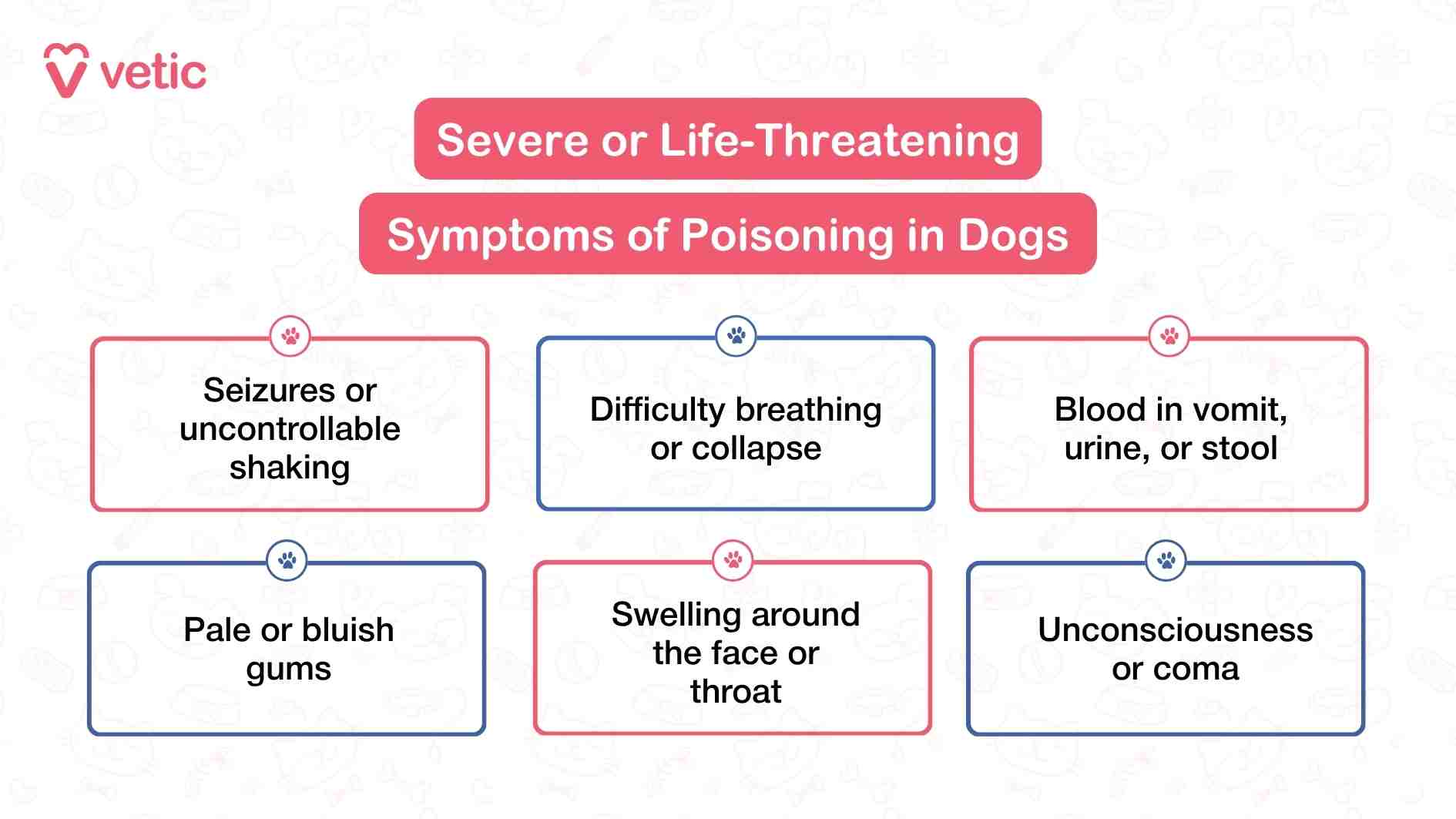 This infographic from Vetic titled “Severe or Life-Threatening Symptoms of Poisoning in Dogs” delivers a stark warning to pet parents about the most critical signs that demand immediate emergency care. The red banner at the top sets a serious tone, while the six symptom boxes below outline the physiological and neurological red flags that indicate a dog’s condition may be rapidly deteriorating. Seizures or uncontrollable shaking suggest that the toxin has affected the nervous system, while difficulty breathing or collapse points to respiratory or cardiovascular compromise. Blood in vomit, urine, or stool signals internal bleeding or organ damage, and pale or bluish gums reflect poor oxygenation or shock. Swelling around the face or throat may indicate an allergic or anaphylactic reaction, and unconsciousness or coma is a dire sign that the dog’s body is shutting down. The layout is clean but urgent, guiding pet parents to recognize that these symptoms are not just alarming—they’re life-threatening and require veterinary intervention without delay.