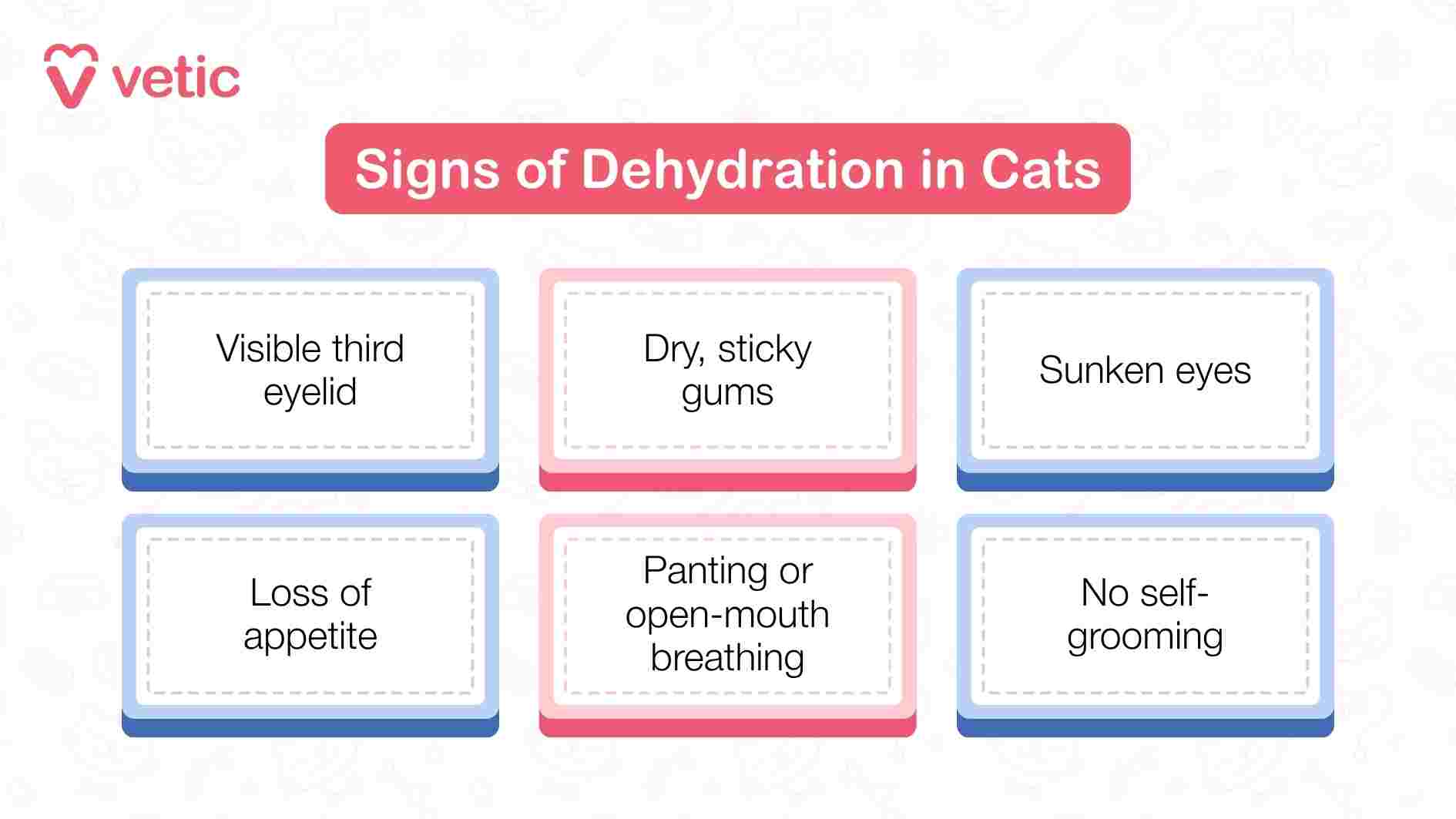 This Vetic infographic titled “Signs of Dehydration in Cats” uses a soft pink header to draw attention while maintaining a calm, informative tone. The layout is divided into six labeled boxes, each highlighting a specific symptom that may indicate dehydration in felines. These signs include a visible third eyelid, dry and sticky gums, sunken eyes, loss of appetite, panting or open-mouth breathing, and a noticeable lack of self-grooming. The design is clean and structured, making it easy for pet parents to visually scan and absorb the information. The image serves as a practical diagnostic tool, helping cat owners recognize subtle but important changes that warrant prompt hydration support or veterinary care.