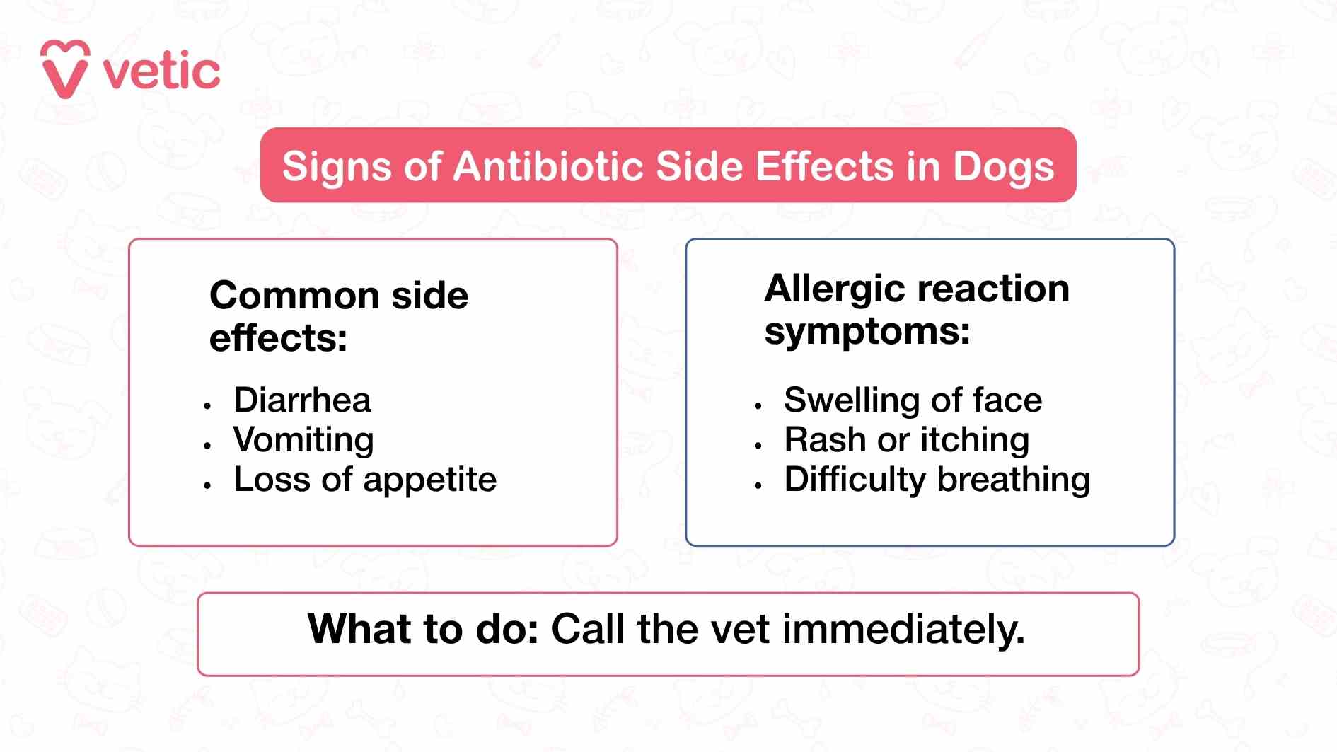 The graphic from Vetic is a clear and urgent visual guide that outlines the potential side effects dogs may experience when taking antibiotics. It is divided into two main sections, each designed to help pet parents quickly recognize whether their dog is reacting poorly to medication. The first section, titled “Common side effects,” lists three symptoms: diarrhea, vomiting, and loss of appetite. These are gastrointestinal responses that may occur when a dog’s system reacts to antibiotics, especially if the medication disrupts the natural gut flora. While these symptoms may seem mild, they can escalate if not monitored, particularly in puppies or senior dogs with weaker immune systems. The second section, labeled “Allergic reaction symptoms,” highlights more serious signs: swelling of the face, rash or itching, and difficulty breathing. These symptoms suggest a possible allergic response, which can be life-threatening if not addressed immediately. Facial swelling and breathing issues may indicate anaphylaxis—a severe reaction that requires emergency care. At the bottom of the image, a bold directive reads: “What to do: Call the vet immediately.” This instruction is intentionally placed to reinforce the urgency of veterinary intervention. The image’s layout is simple and direct, using minimal text and high contrast to ensure that pet parents can absorb the information quickly, even in a stressful moment. By distinguishing between common side effects and allergic reactions, the image empowers pet parents to act decisively and avoid delays that could compromise their dog’s health. It also reinforces the importance of monitoring dogs closely during any antibiotic course.