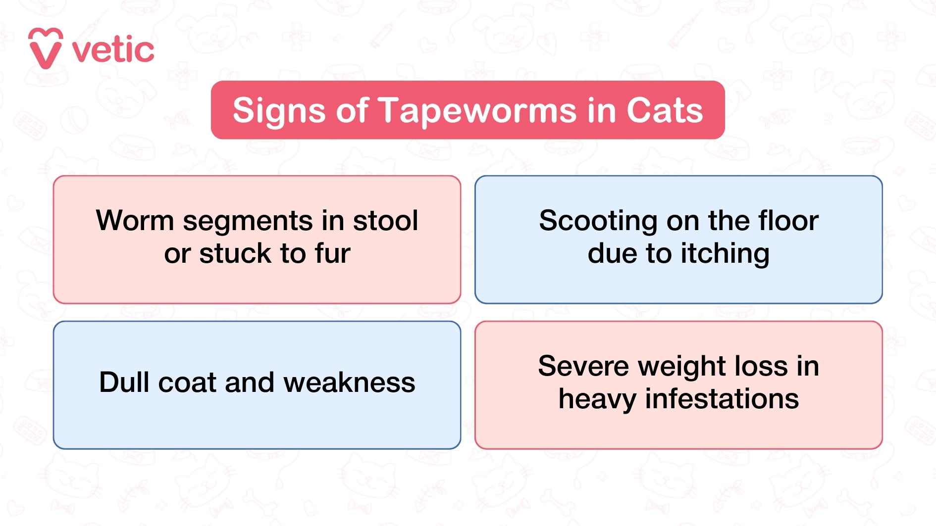 informative graphic from Vetic clearly presents the key signs that may indicate a tapeworm infection in cats. It is organized into four distinct colored sections, each highlighting a specific symptom. The first sign described is the presence of worm segments either in the cat’s stool or stuck to its fur, which can often be a clear visual cue for pet parents. Another sign is the behavior known as scooting—where the cat drags its rear along the floor—usually due to itching or irritation caused by the tapeworm. The image also draws attention to more subtle symptoms such as a dull coat and general weakness, which can reflect the cat’s declining health due to the parasite. In cases of heavy infestation, severe weight loss may occur, signaling a serious health concern that requires prompt attention.