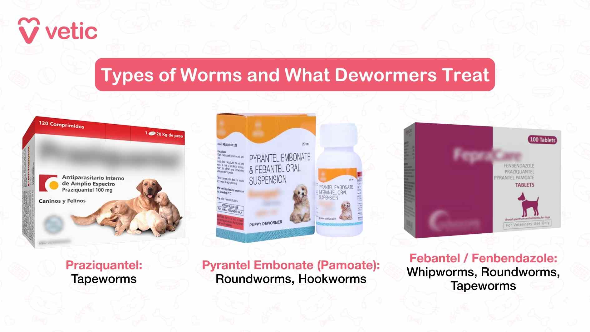 Choosing the right dewormer isn’t just about brand preference—it’s about matching the medication to the specific type of worm affecting your dog. This image from Vetic showcases three commonly used deworming compounds and the parasites they’re designed to eliminate. Praziquantel is highlighted as the go-to treatment for tapeworms. Its broad-spectrum efficacy makes it a staple in veterinary protocols, especially when dogs are exposed to fleas, which often carry tapeworm larvae. Next, Pyrantel Embonate (also known as Pyrantel Pamoate) is shown in liquid suspension form, ideal for treating roundworms and hookworms. These parasites are especially common in puppies and outdoor dogs, and Pyrantel’s gentle action makes it suitable for young or sensitive pets. The third compound, Febantel—often combined with Fenbendazole and Praziquantel in multi-ingredient tablets—offers a broader spectrum. It’s effective against whipworms, roundworms, and tapeworms, making it a versatile choice for dogs with mixed infestations or uncertain exposure histories.