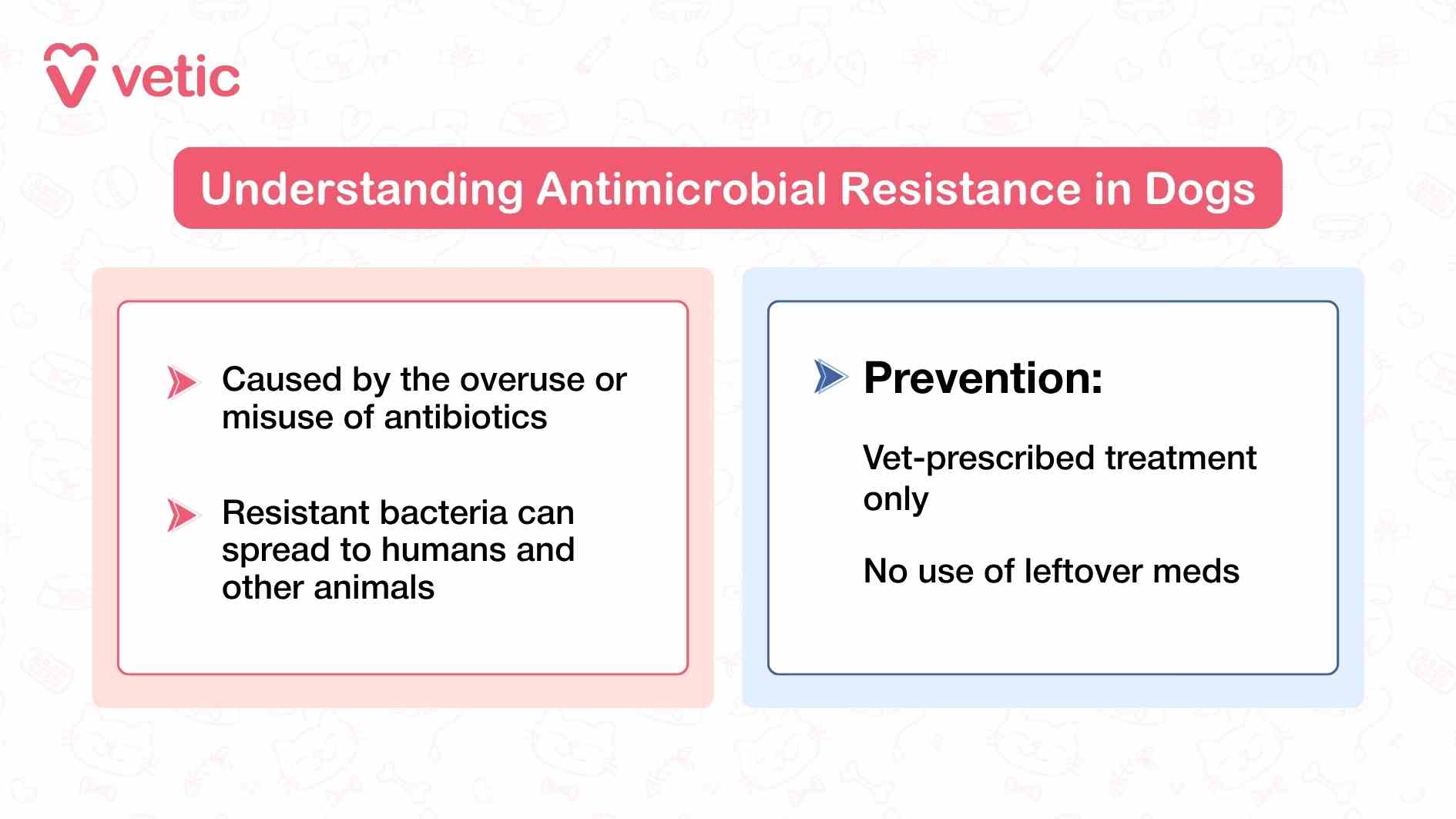 The graphic from Vetic is a split-panel design that educates pet parents on the causes and prevention of antimicrobial resistance in dogs—a growing concern in veterinary medicine. The left side of the image, shaded in pink, focuses on the causes. It states that antimicrobial resistance is caused by the overuse or misuse of antibiotics, which includes giving antibiotics without a confirmed bacterial infection, using incorrect dosages, or stopping treatment too early. It also warns that resistant bacteria can spread to humans and other animals, highlighting the broader public health implications of irresponsible antibiotic use. The right side of the image, shaded in blue, offers two straightforward prevention tips. First, it advises pet parents to only use vet-prescribed treatments, reinforcing that antibiotics should never be administered without professional guidance. Second, it cautions against using leftover medications, which may be expired, inappropriate for the current condition, or incorrectly dosed. These two actions—seeking veterinary advice and avoiding self-medication—are positioned as the most effective ways to prevent resistance and protect both pets and their families. The image uses a clean layout and contrasting colors to separate problem and solution, making it easy for pet parents to understand the risks and take action. It serves as a visual reminder that antibiotics are powerful tools that must be used responsibly to remain effective.