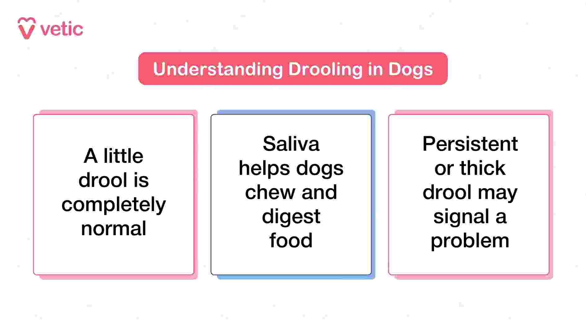 The image titled "Understanding Drooling in Dogs" presents a clear and concise overview of canine drooling, helping pet parents distinguish between normal and potentially concerning signs. It begins by reassuring viewers that a small amount of drool is entirely normal, framing it as a routine part of a dog’s physiology. The second section explains that saliva plays an essential role in chewing and digestion, emphasizing its biological importance rather than treating it as a nuisance. The final segment introduces a cautionary note: persistent or unusually thick drool may indicate an underlying health issue. This progression—from normal to functional to potentially problematic—guides pet parents toward a more informed and vigilant approach to their dog’s oral and digestive health.