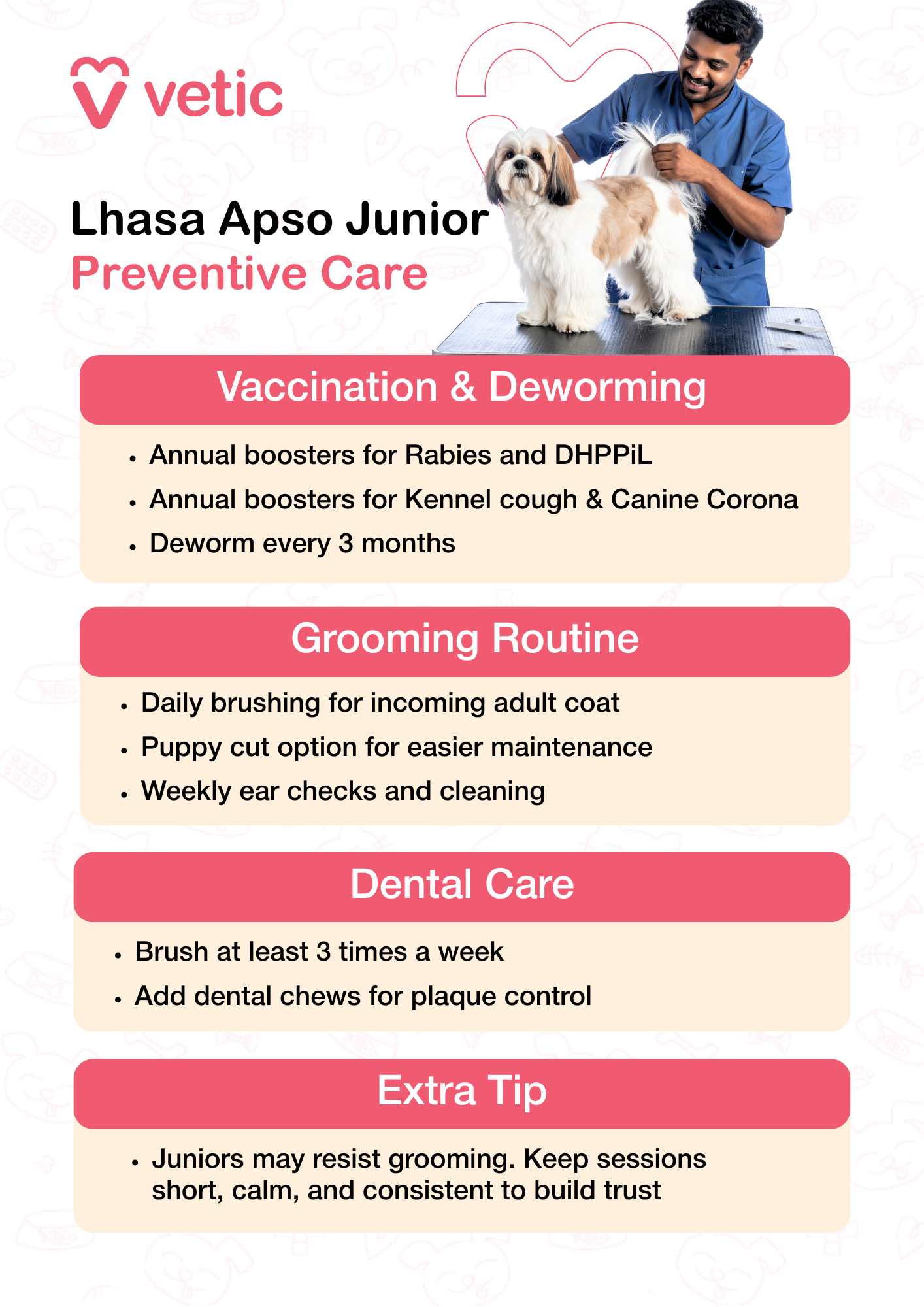 preventive care for Lhasa Apso juniors, typically dogs transitioning from puppyhood to adulthood. The image shows a person grooming a Lhasa Apso on a table, visually reinforcing the importance of regular handling and trust-building during this stage. The content is divided into four practical sections: Vaccination & Deworming Annual boosters for Rabies and DHPPiL Annual boosters for Kennel Cough and Canine Corona Deworm every 3 months Grooming Routine Daily brushing to manage the incoming adult coat Puppy cut as a low-maintenance option Weekly ear checks and cleaning to prevent infections Dental Care Brush at least 3 times a week Add dental chews to help control plaque Extra Tip Junior Lhasa Apsos may resist grooming—keep sessions short, calm, and consistent to build trust
