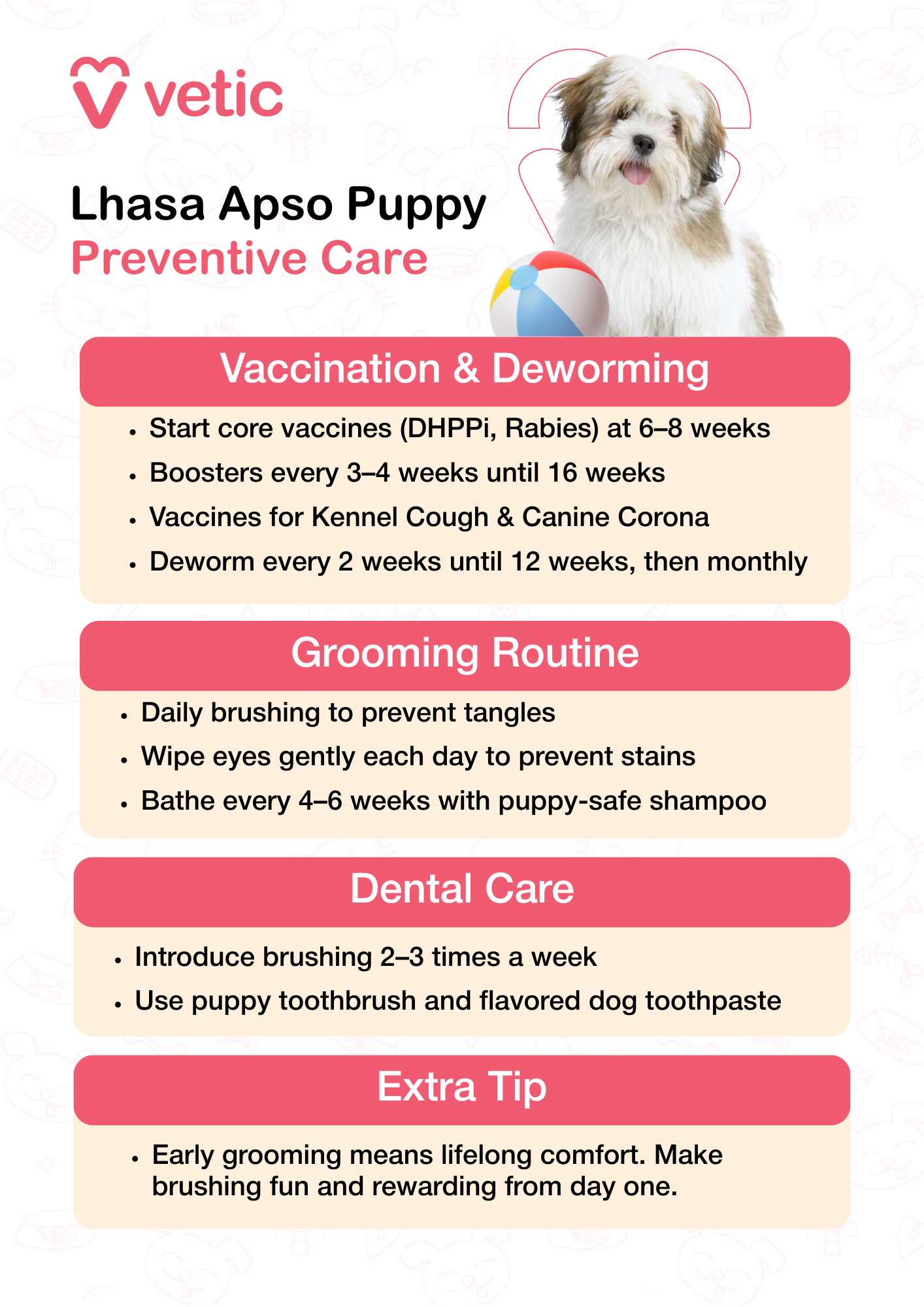 preventive care for Lhasa Apso puppies, pairing a sweet image of a young pup with clear, segmented guidance. The layout is divided into four actionable sections: Vaccination & Deworming Begin core vaccines (DHPPi, Rabies) at 6–8 weeks Administer boosters every 3–4 weeks until 16 weeks Include vaccines for Kennel Cough and Canine Corona Deworm every 2 weeks until 12 weeks, then monthly Grooming Routine Brush daily to prevent tangles Gently wipe eyes each day to avoid staining Bathe every 4–6 weeks using puppy-safe shampoo Dental Care Start brushing 2–3 times a week Use a puppy toothbrush and flavored dog toothpaste Extra Tip Early grooming builds lifelong comfort—make brushing fun and rewarding from the start