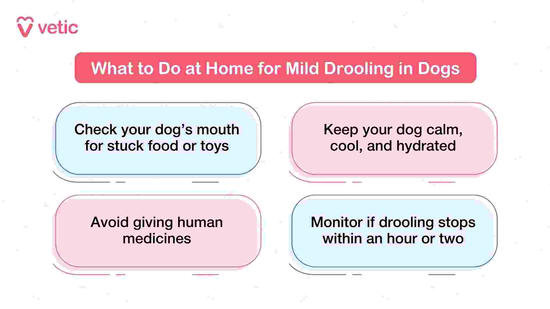 This graphic from Vetic offers practical, at-home guidance for pet parents dealing with mild drooling in dogs. It begins with a sensible first step: checking the dog’s mouth for any stuck food or toys, which could be causing irritation or discomfort. The second recommendation emphasizes the importance of keeping the dog calm, cool, and hydrated—conditions that help regulate body temperature and reduce stress-related drooling. The third point serves as a critical reminder not to administer human medications, which can be toxic or worsen symptoms. Finally, the image advises monitoring the drooling episode to see if it resolves within one to two hours, suggesting that short-term drooling may not require veterinary intervention. Together, these tips empower pet parents to respond confidently and safely to mild symptoms while staying alert for signs that may require escalation.